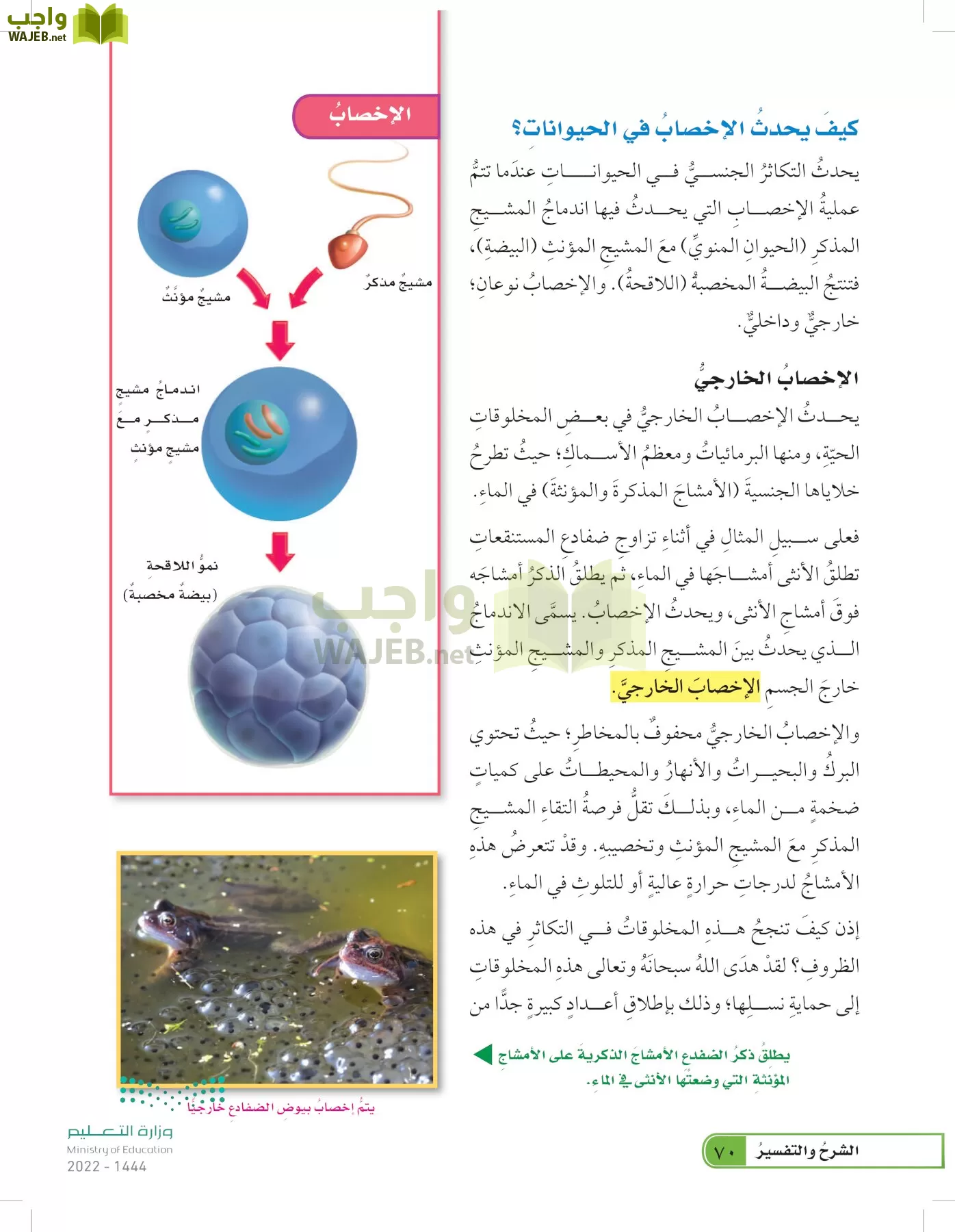 العلوم page-69