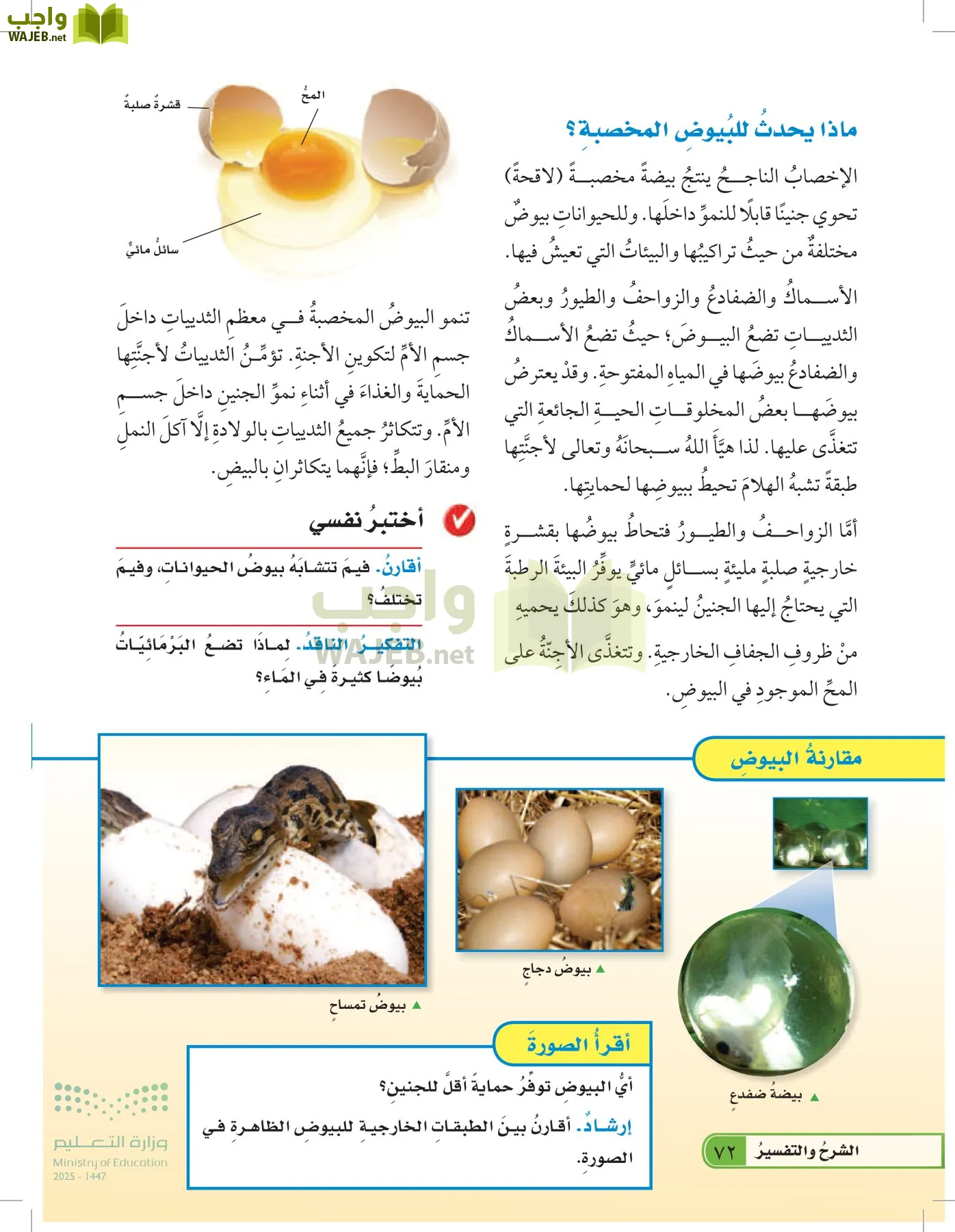العلوم page-71
