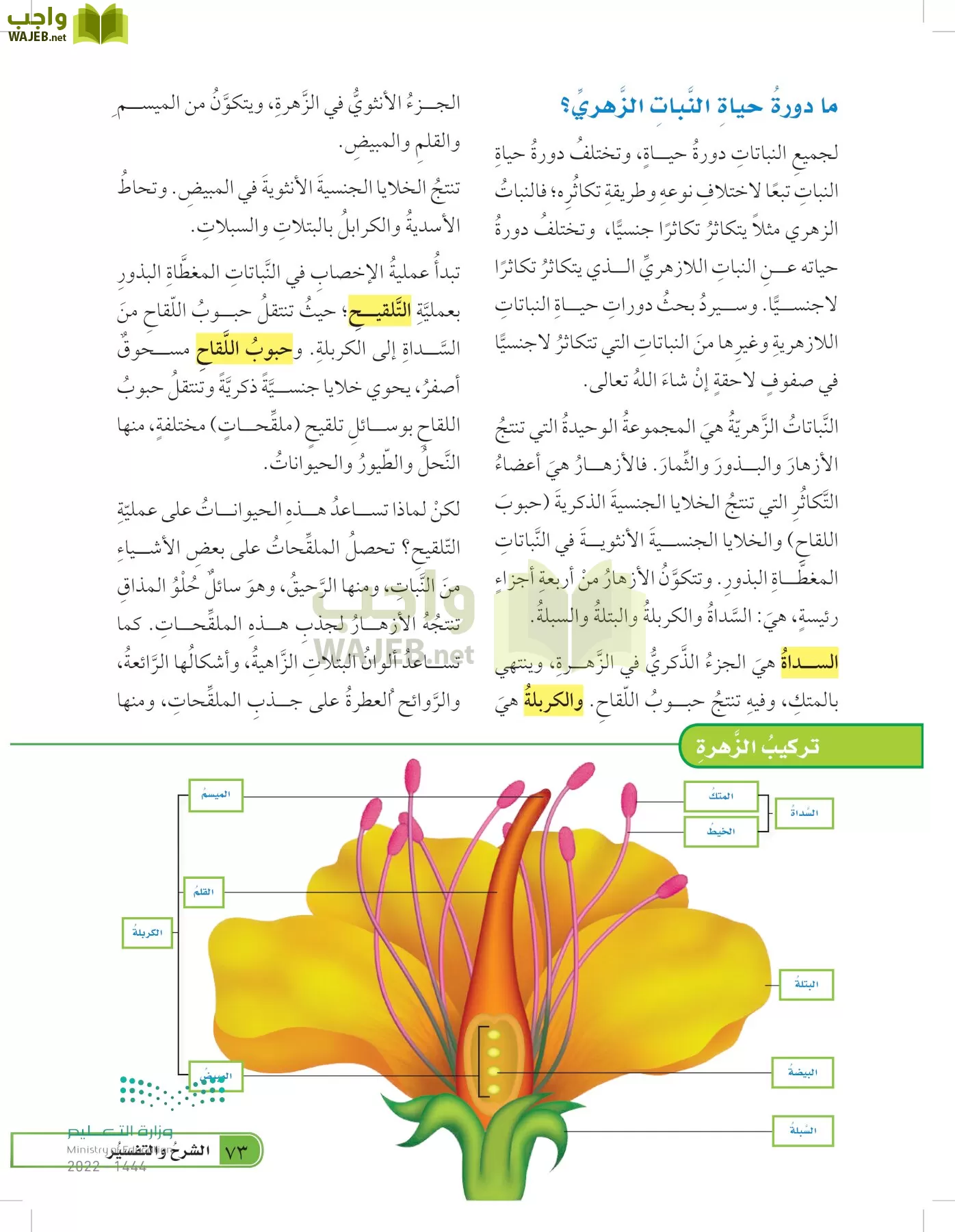 العلوم page-72