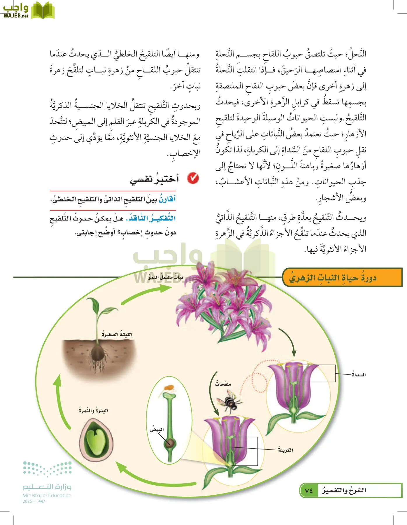 العلوم page-73