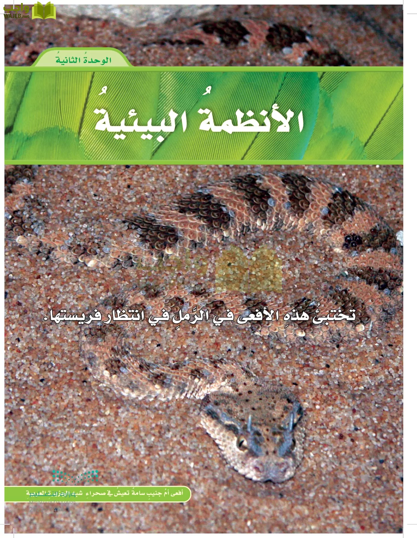 العلوم page-80