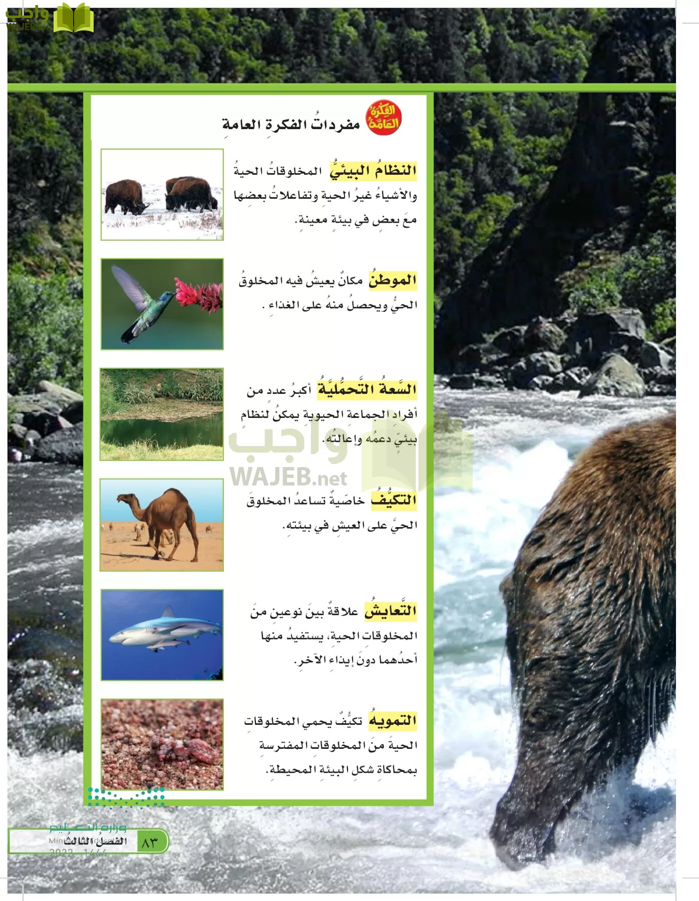 العلوم page-82