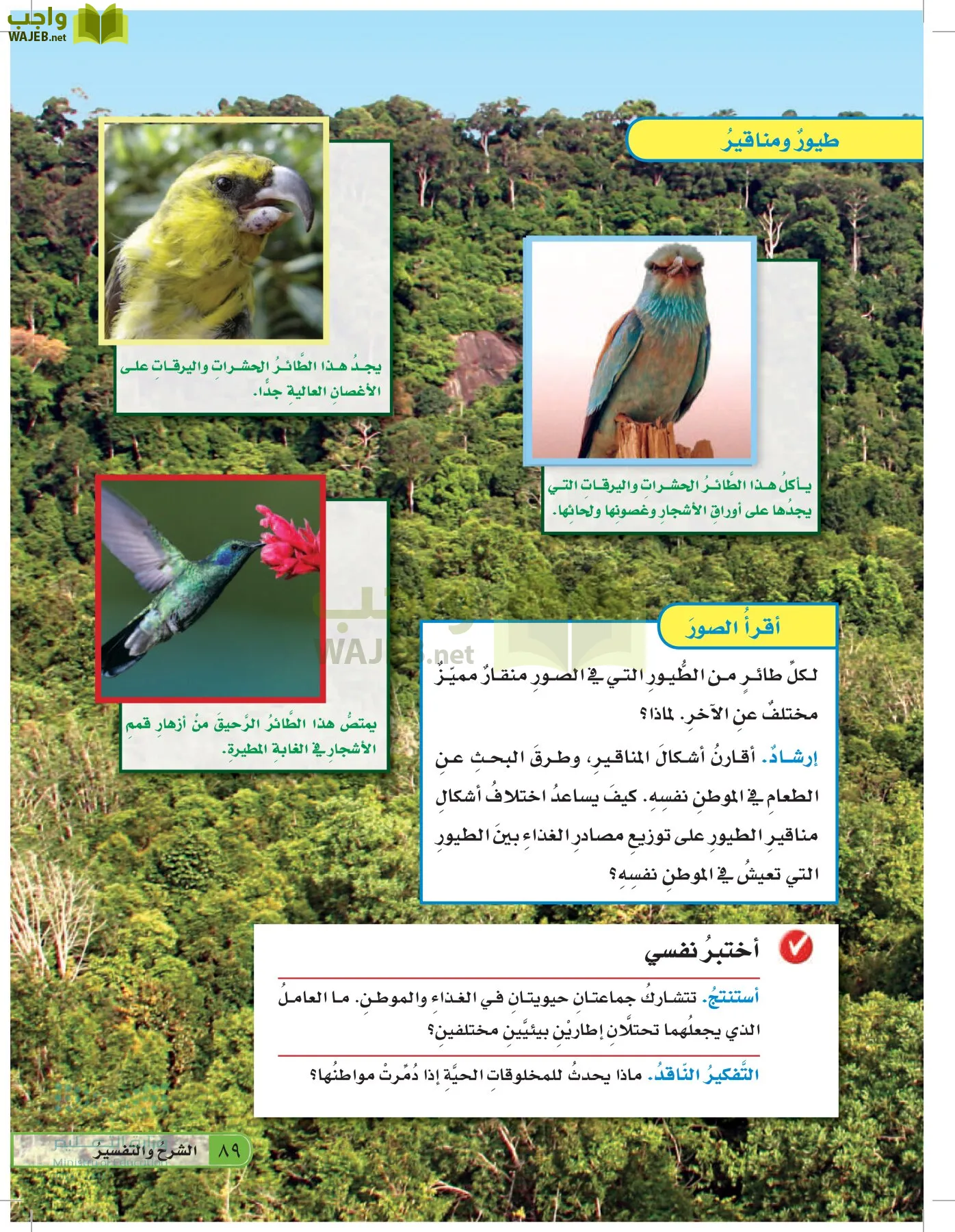 العلوم page-88