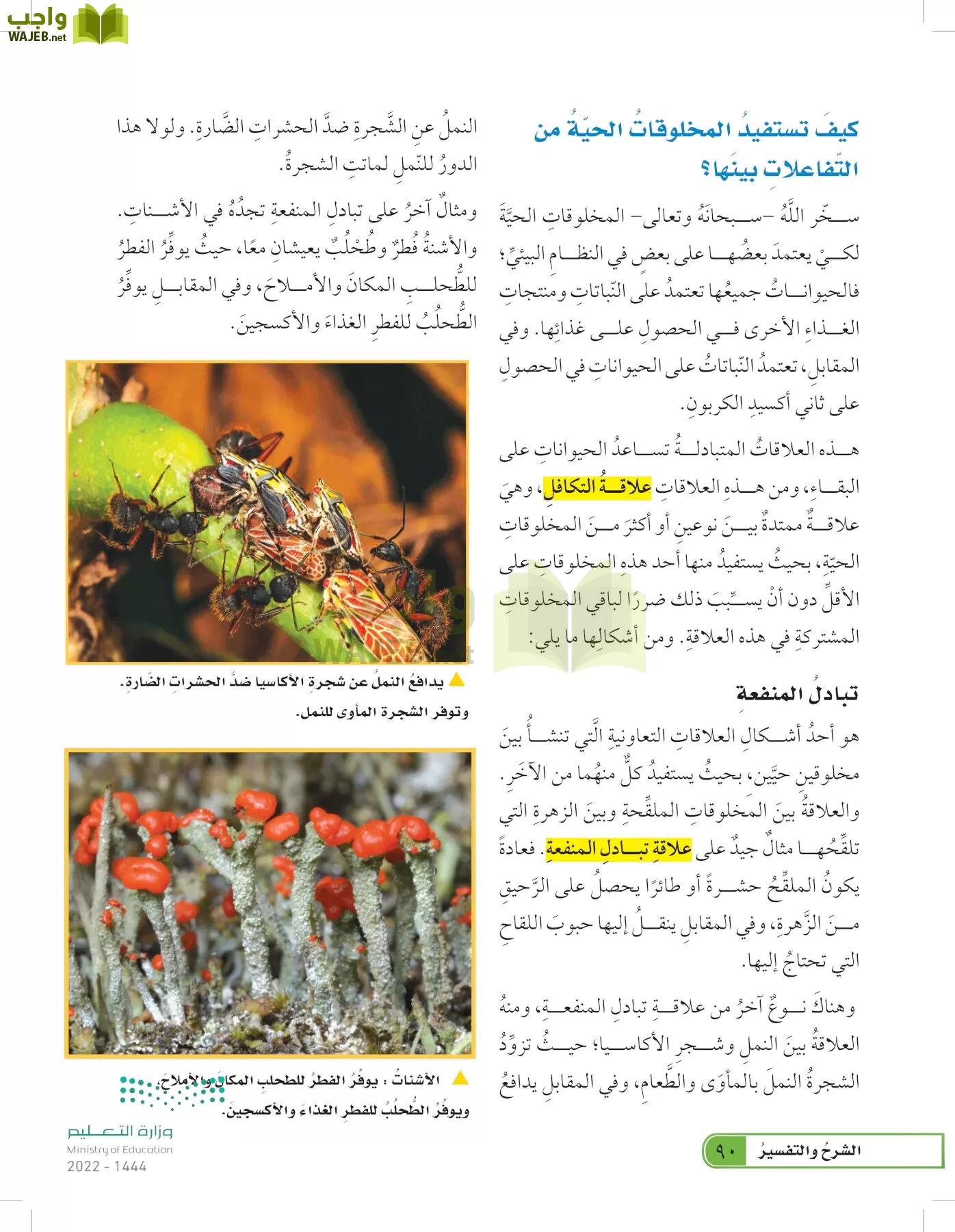 العلوم page-89