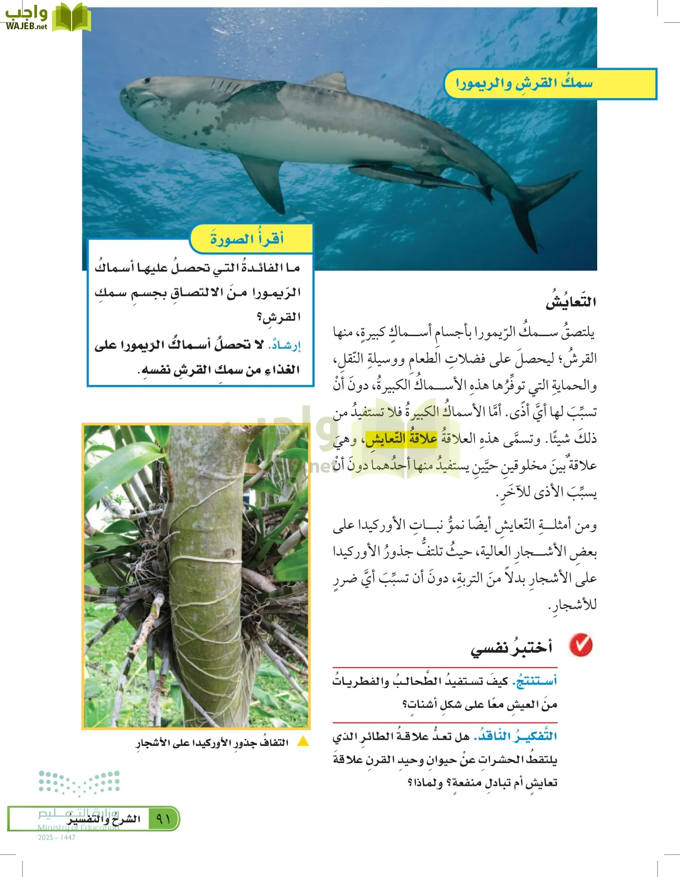 العلوم page-90