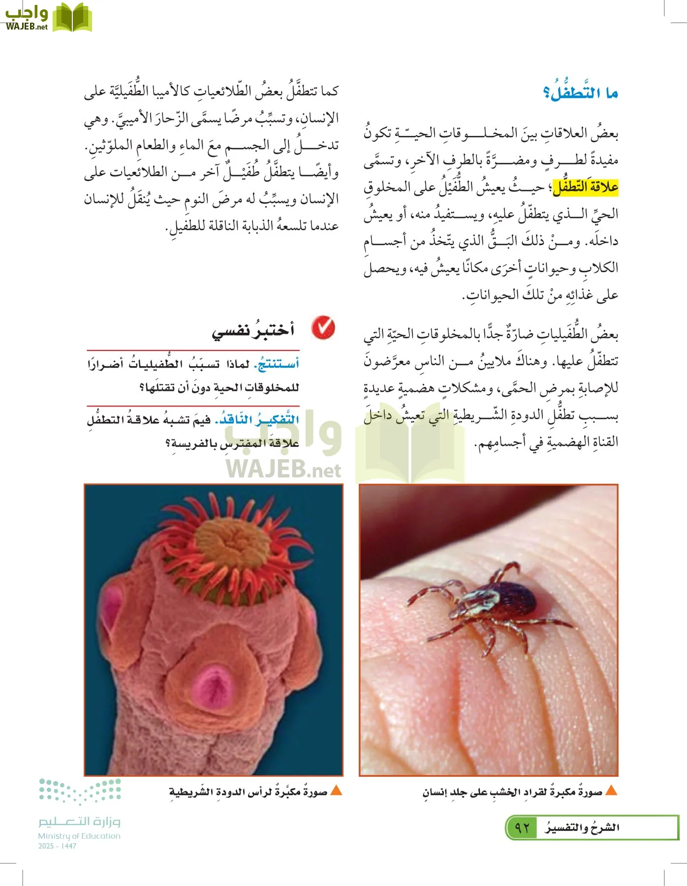 العلوم page-91