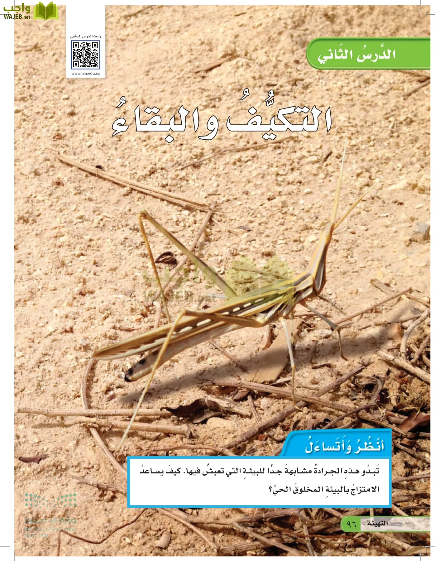 العلوم page-95