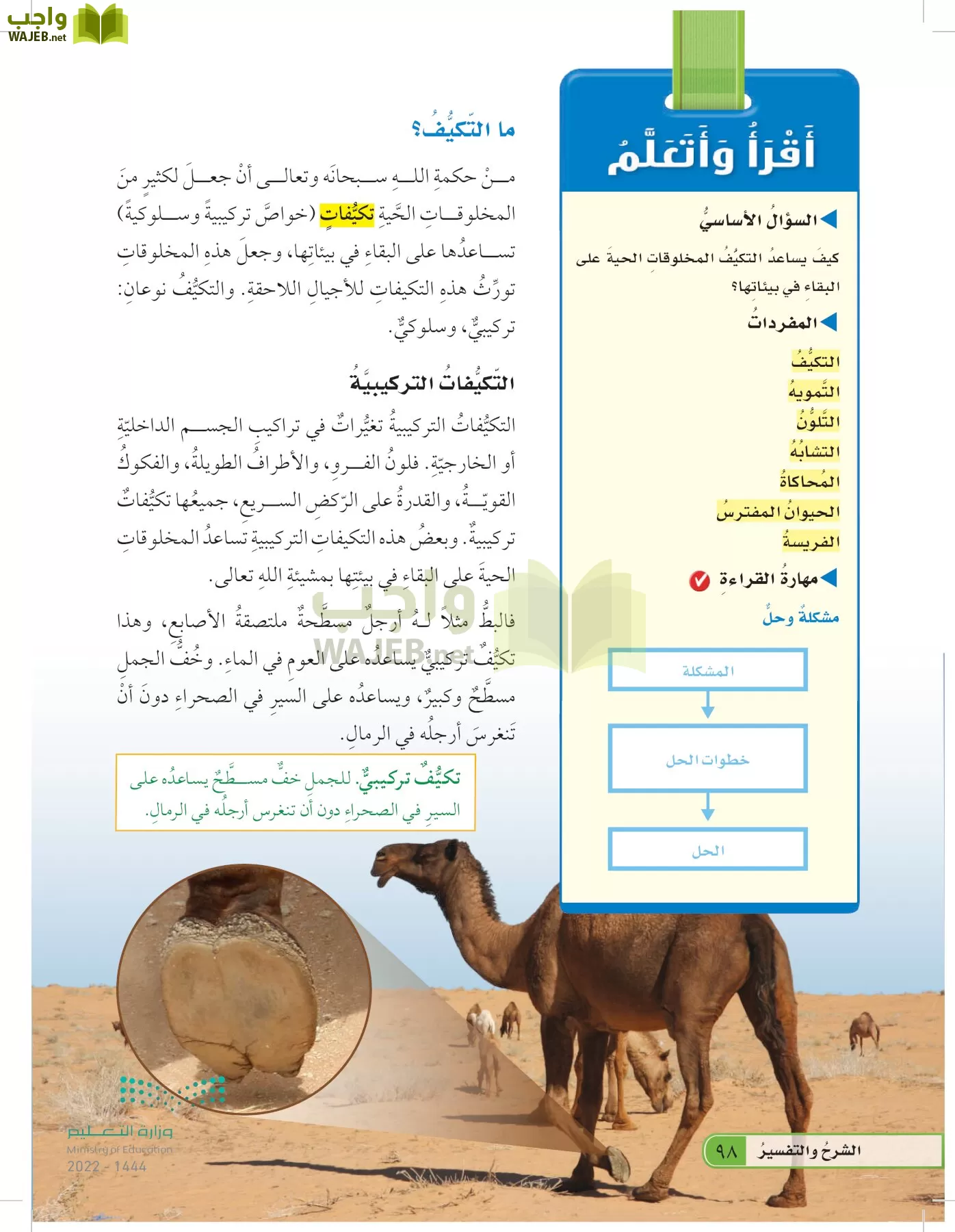 العلوم page-97