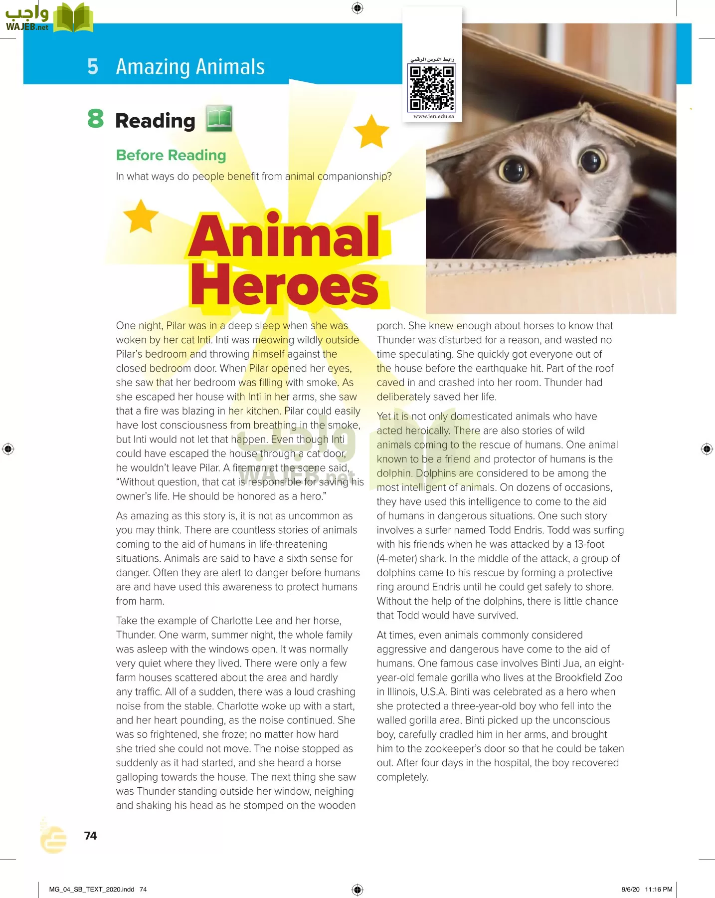 انجليزي 4 مقررات page-79