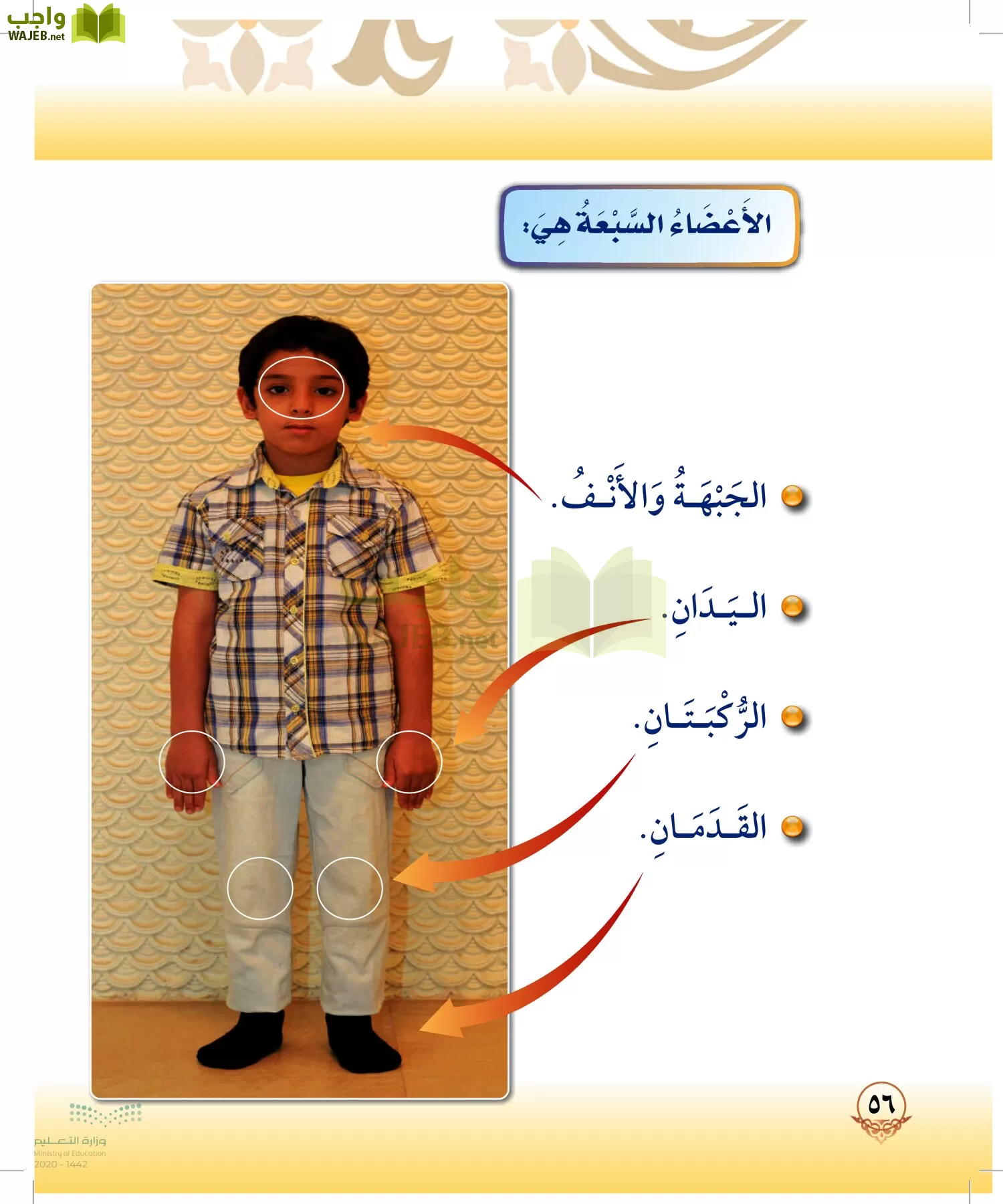 الدراسات الإسلامية (التوحيد-الفقه والسلوك) page-55