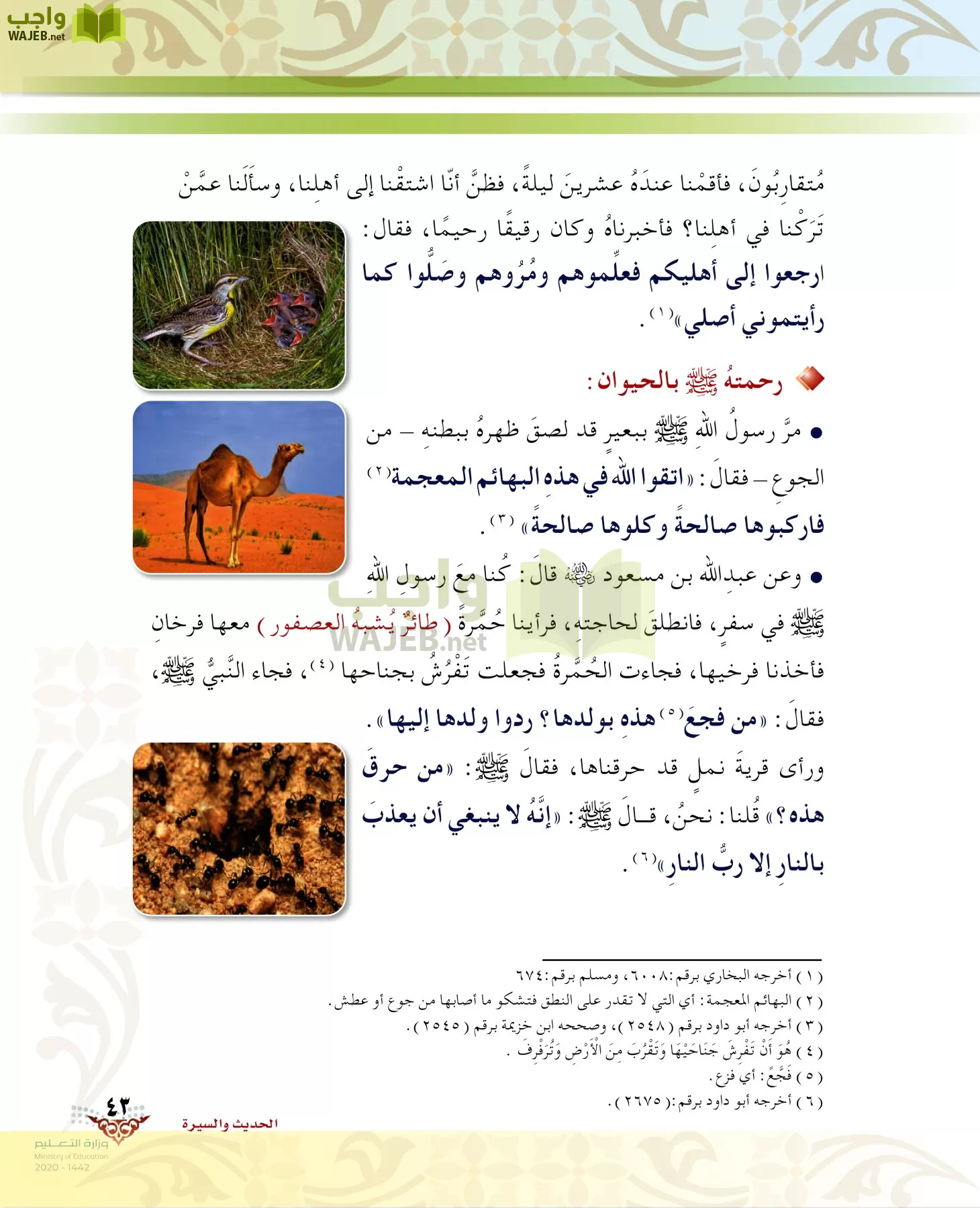 الدراسات الإسلامية (الحديث والسيرة-التوحيد-الفقه والسلوك) page-42