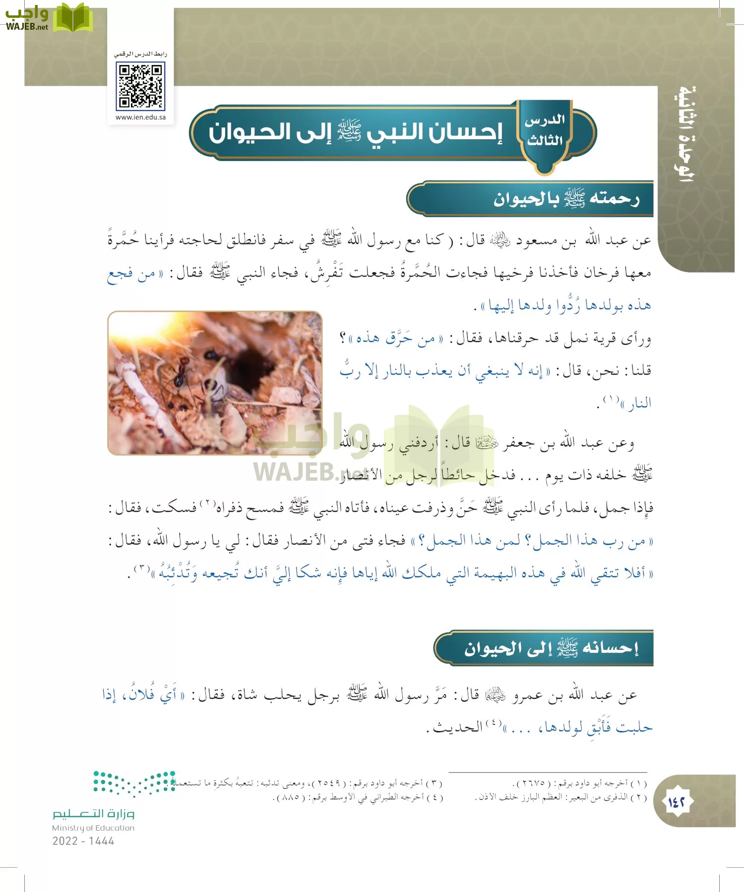 الدراسات الإسلامية (التوحيد- الحديث والسيرة - الفقه والسلوك) page-141