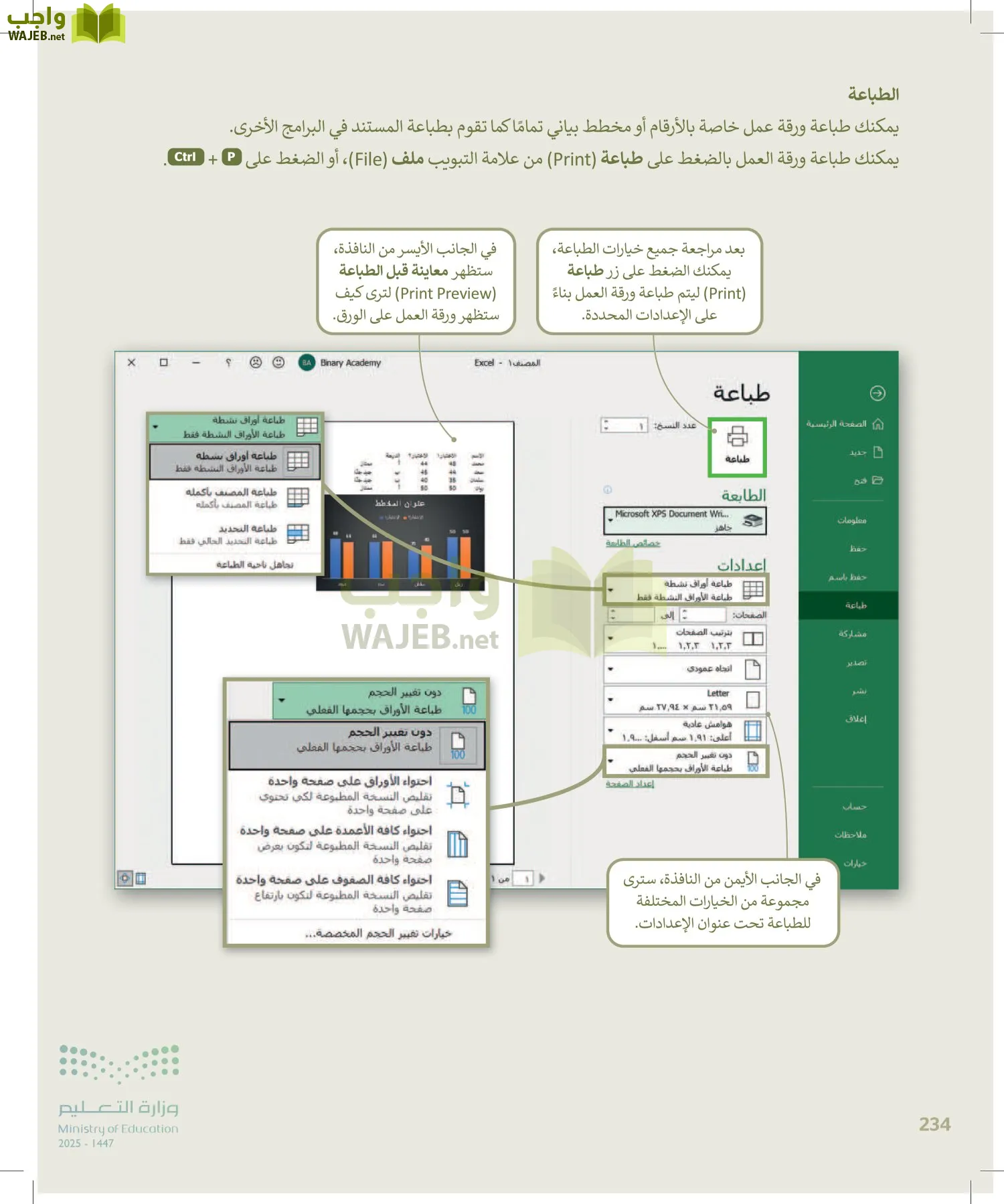 المهارات الرقمية page-233