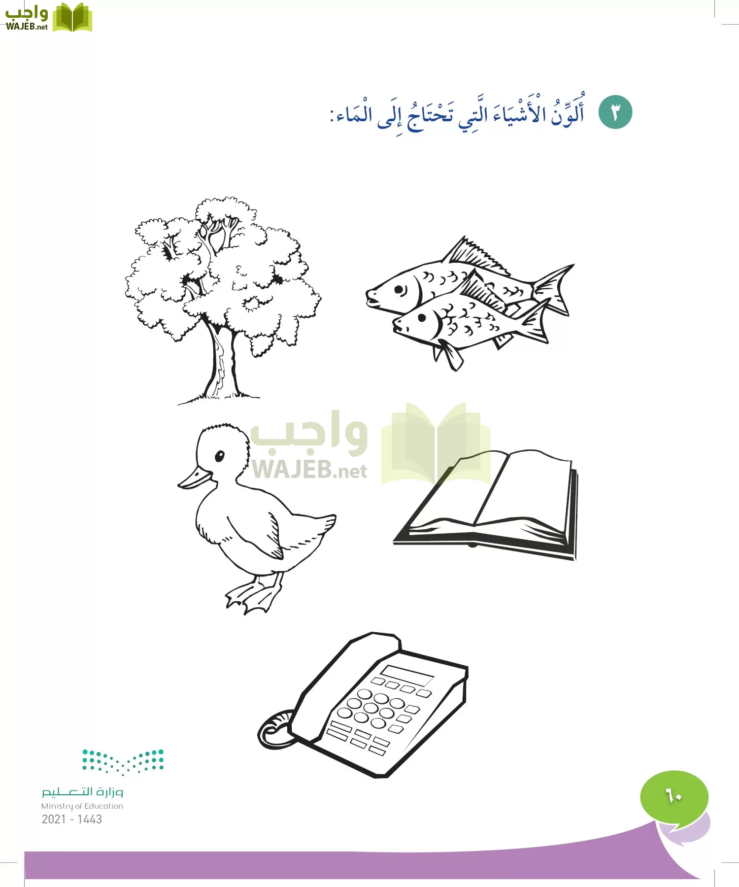 المهارات الحياتيه والاسرية page-59