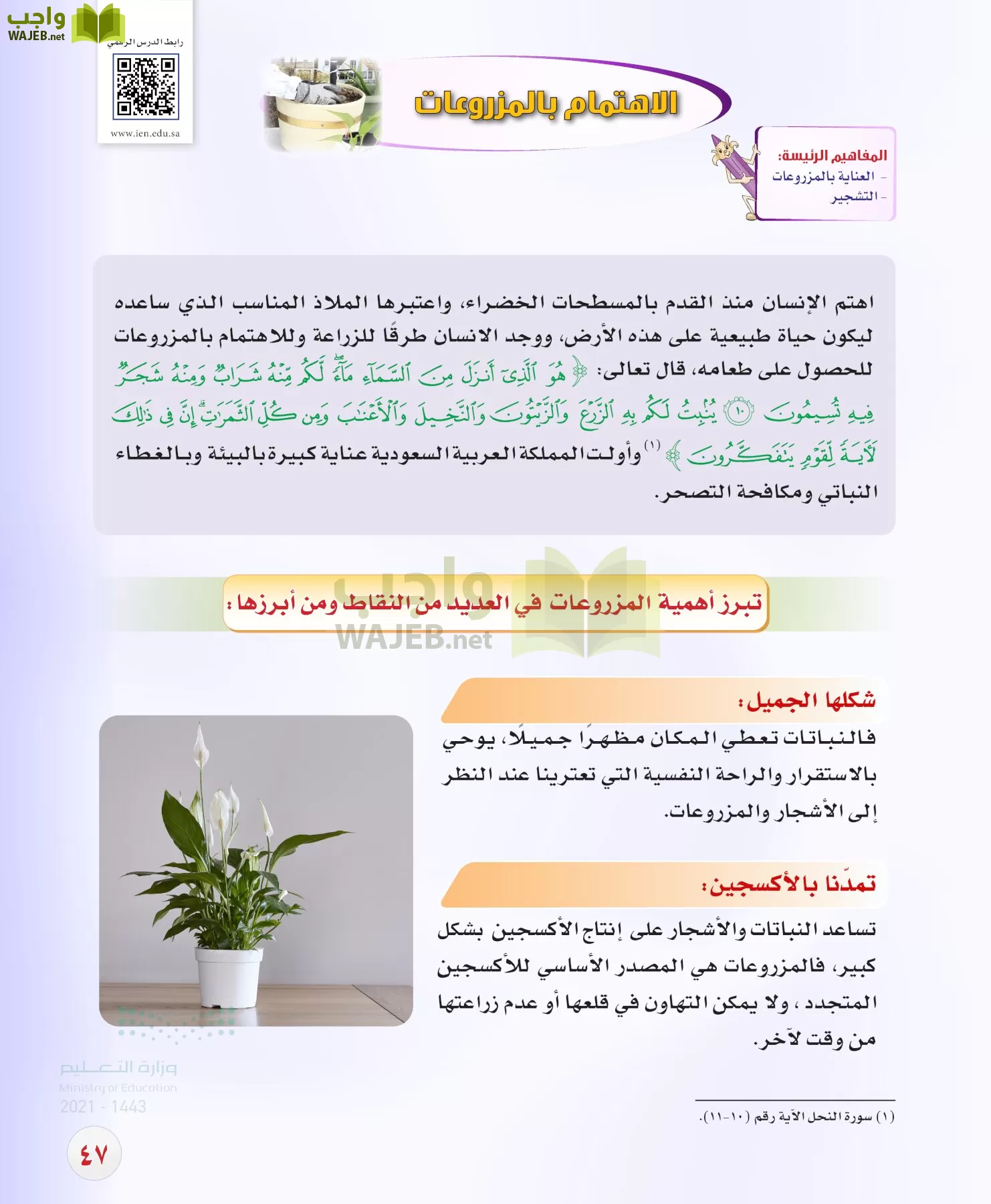 المهارات الحياتية والاسرية page-46