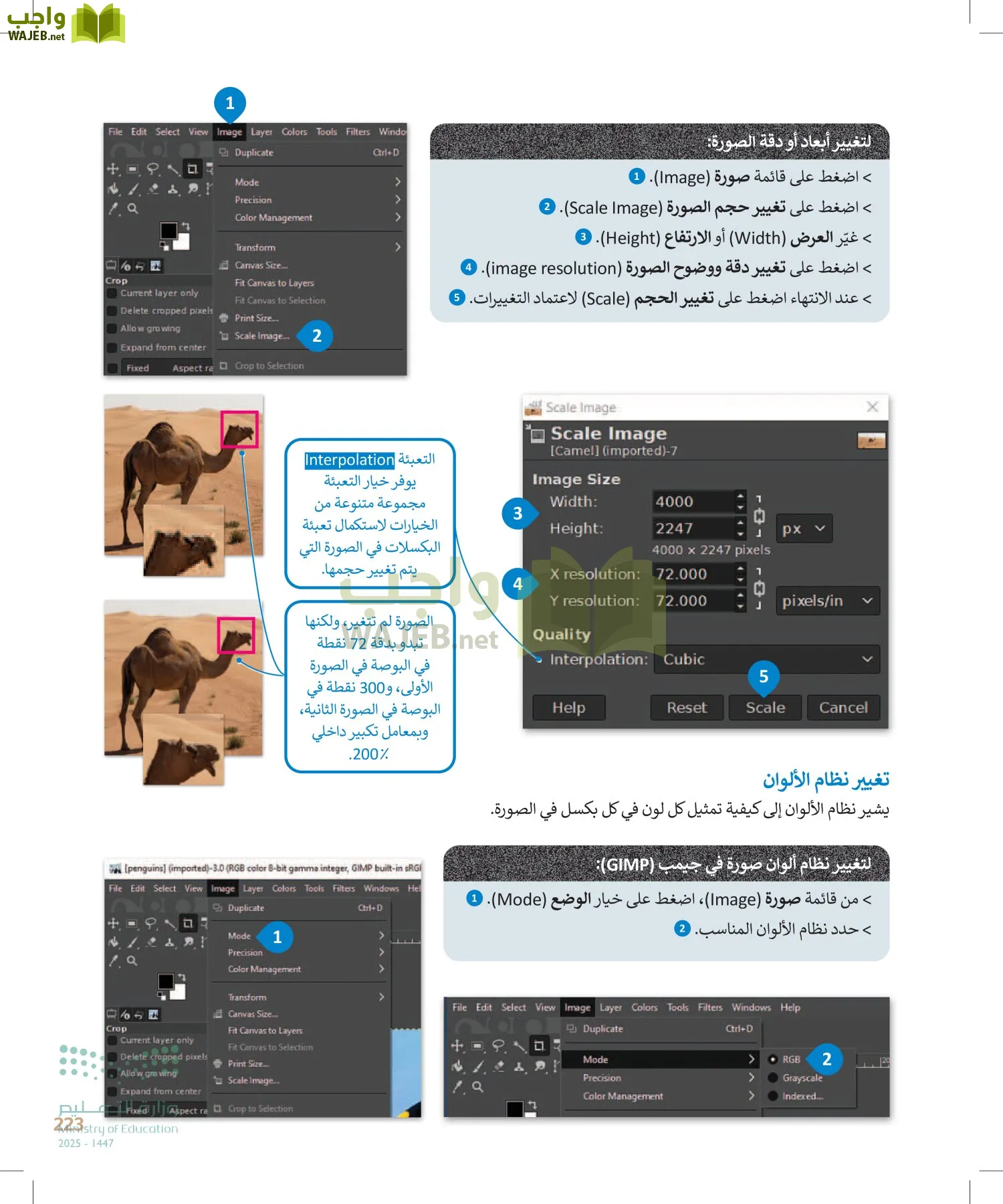 التقنية الرقمية1 page-222