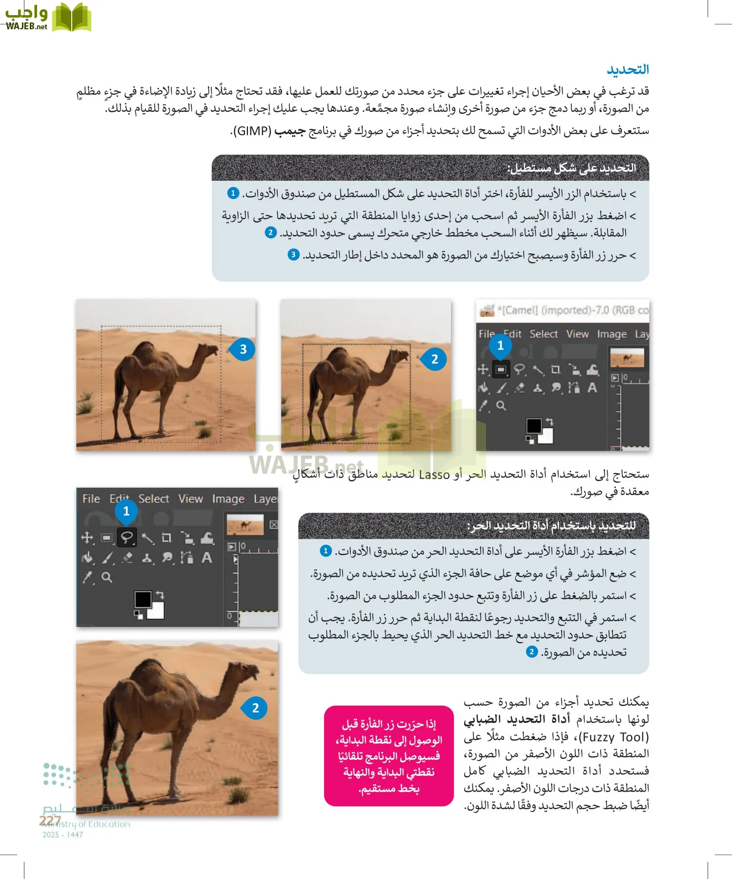 التقنية الرقمية1 page-226