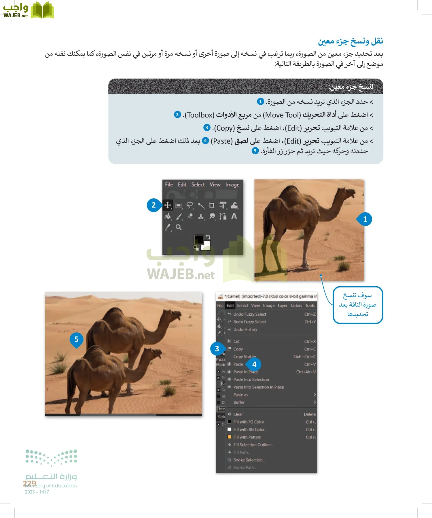 التقنية الرقمية1 page-228