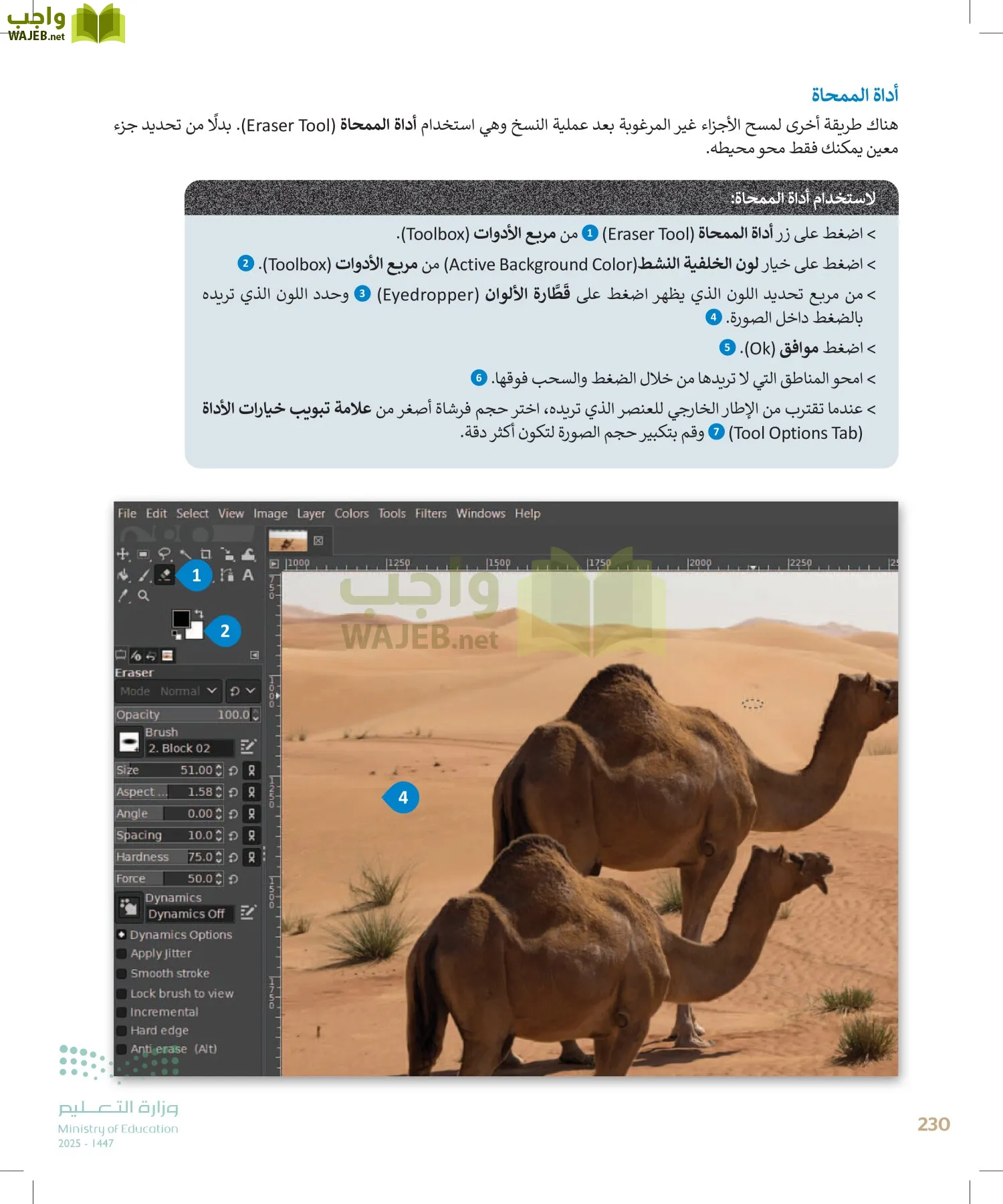التقنية الرقمية1 page-229
