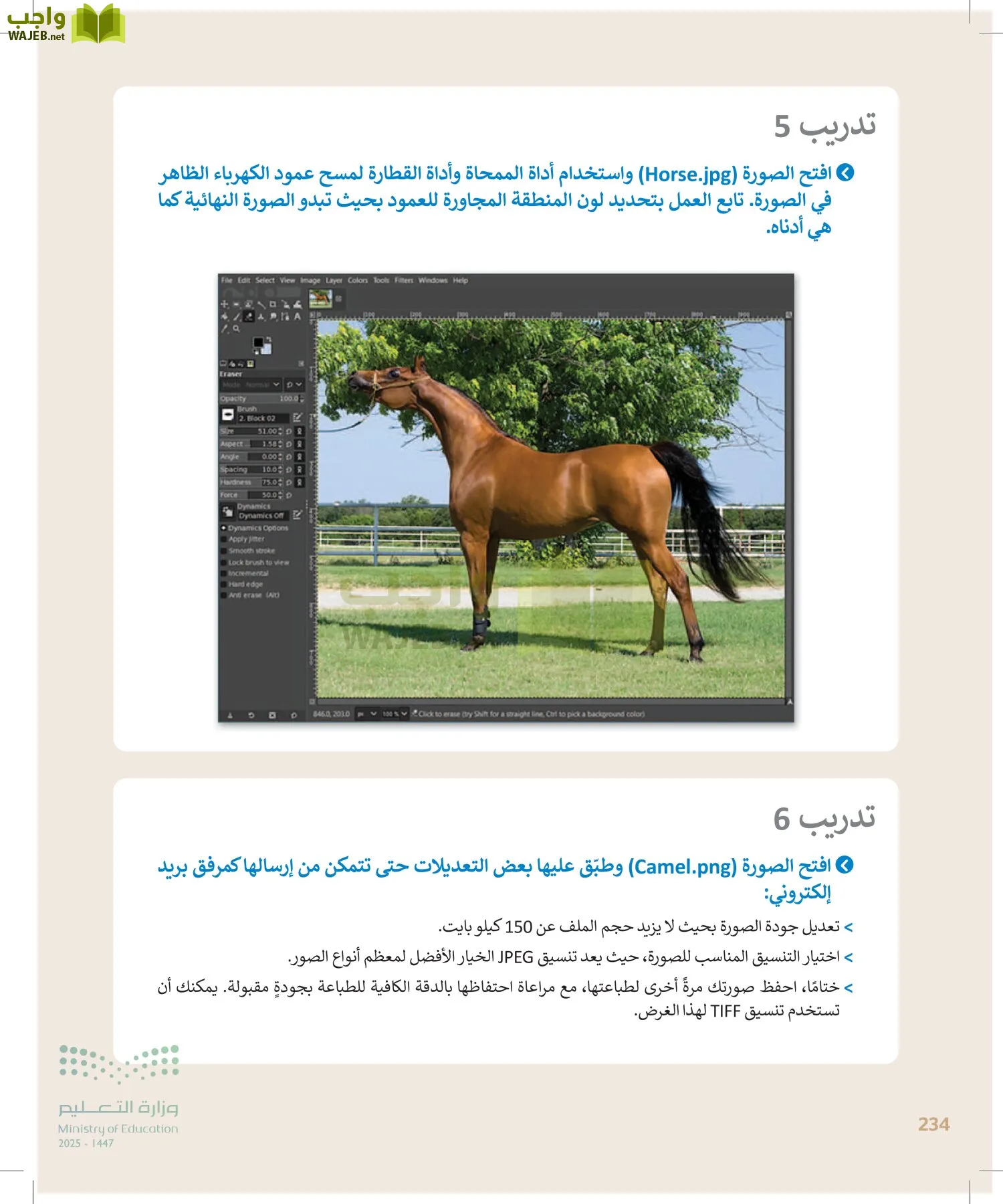 التقنية الرقمية1 page-233