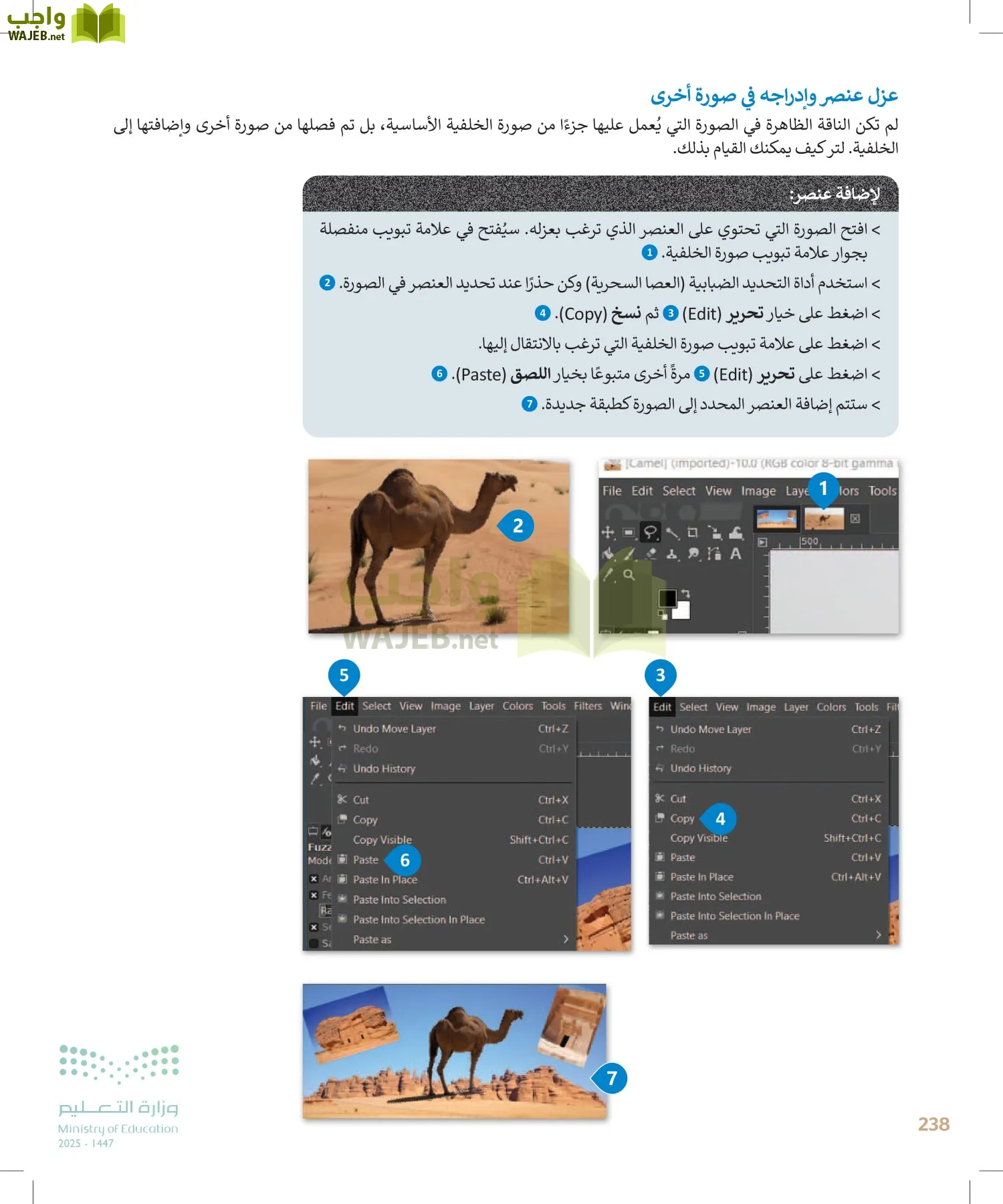 التقنية الرقمية1 page-237