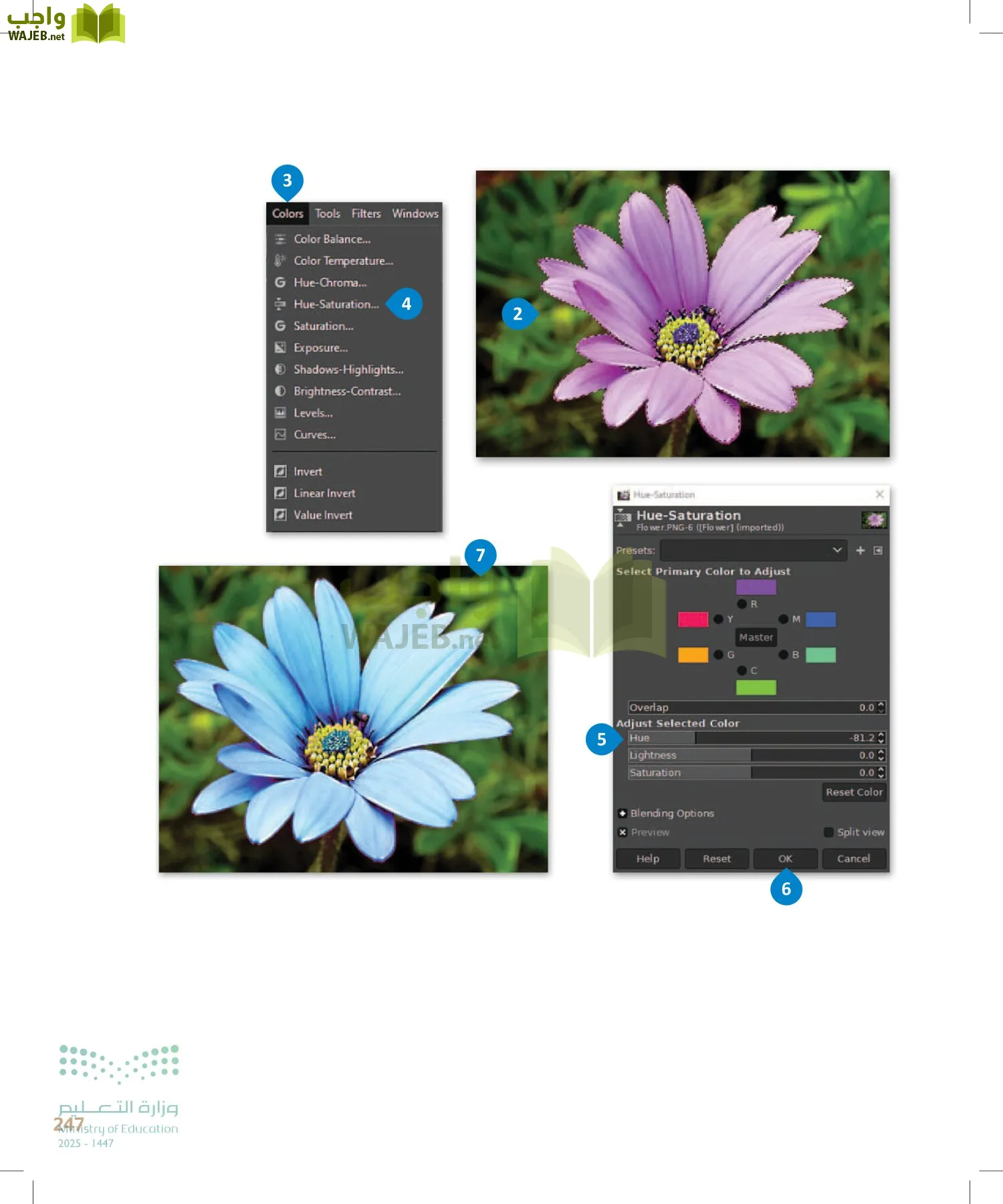 التقنية الرقمية1 page-246