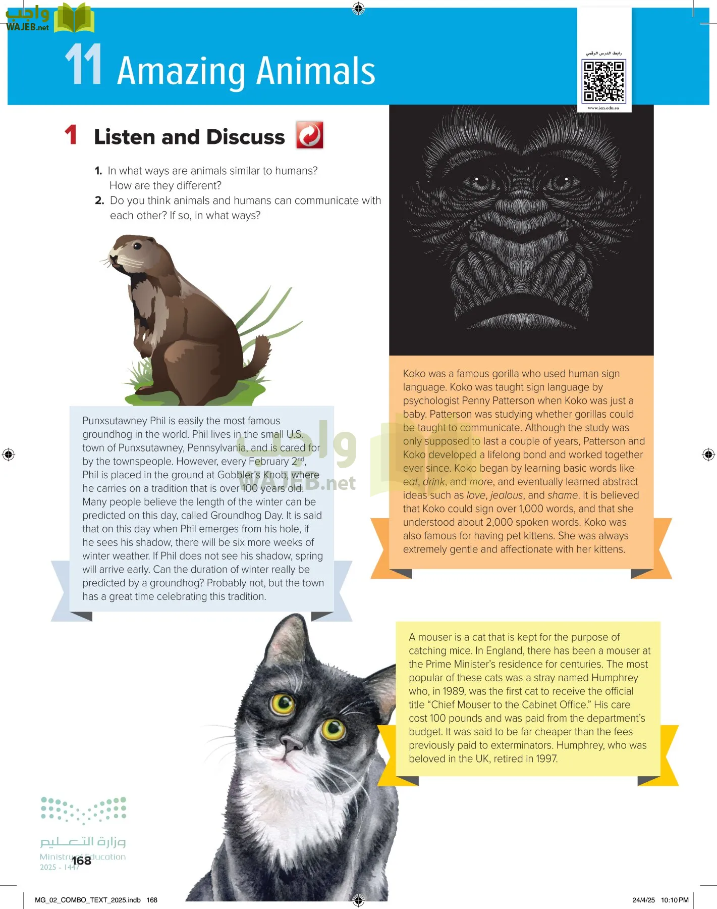 mega goal 2 page-173