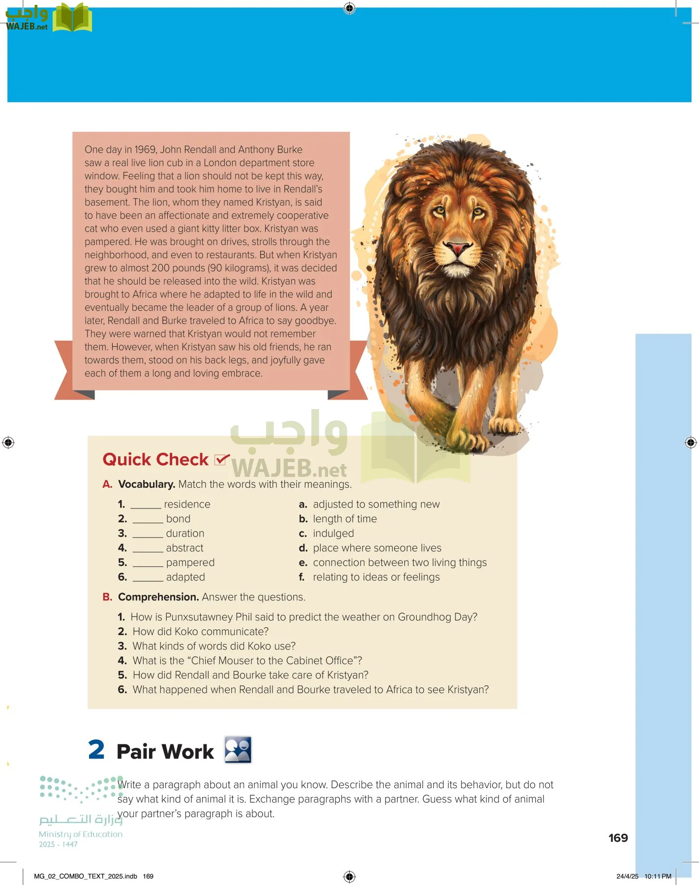 mega goal 2 page-174