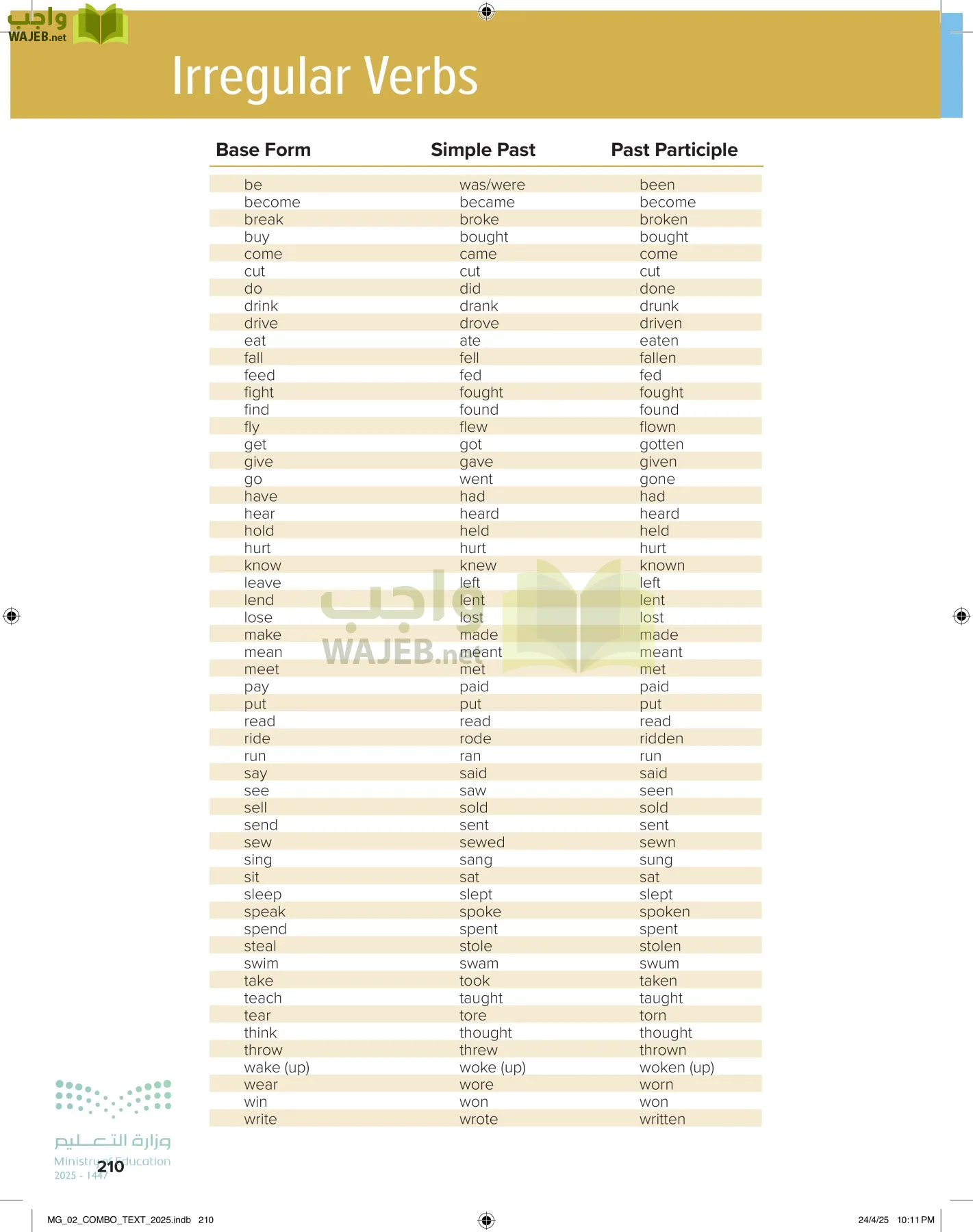 mega goal 2 page-215