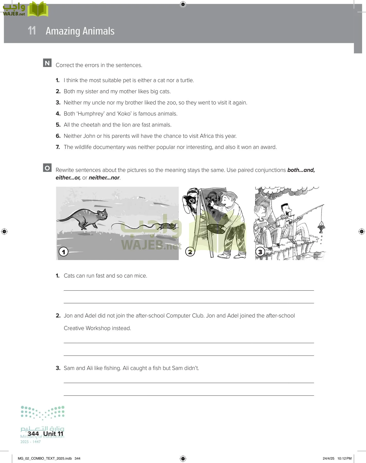 mega goal 2 page-349