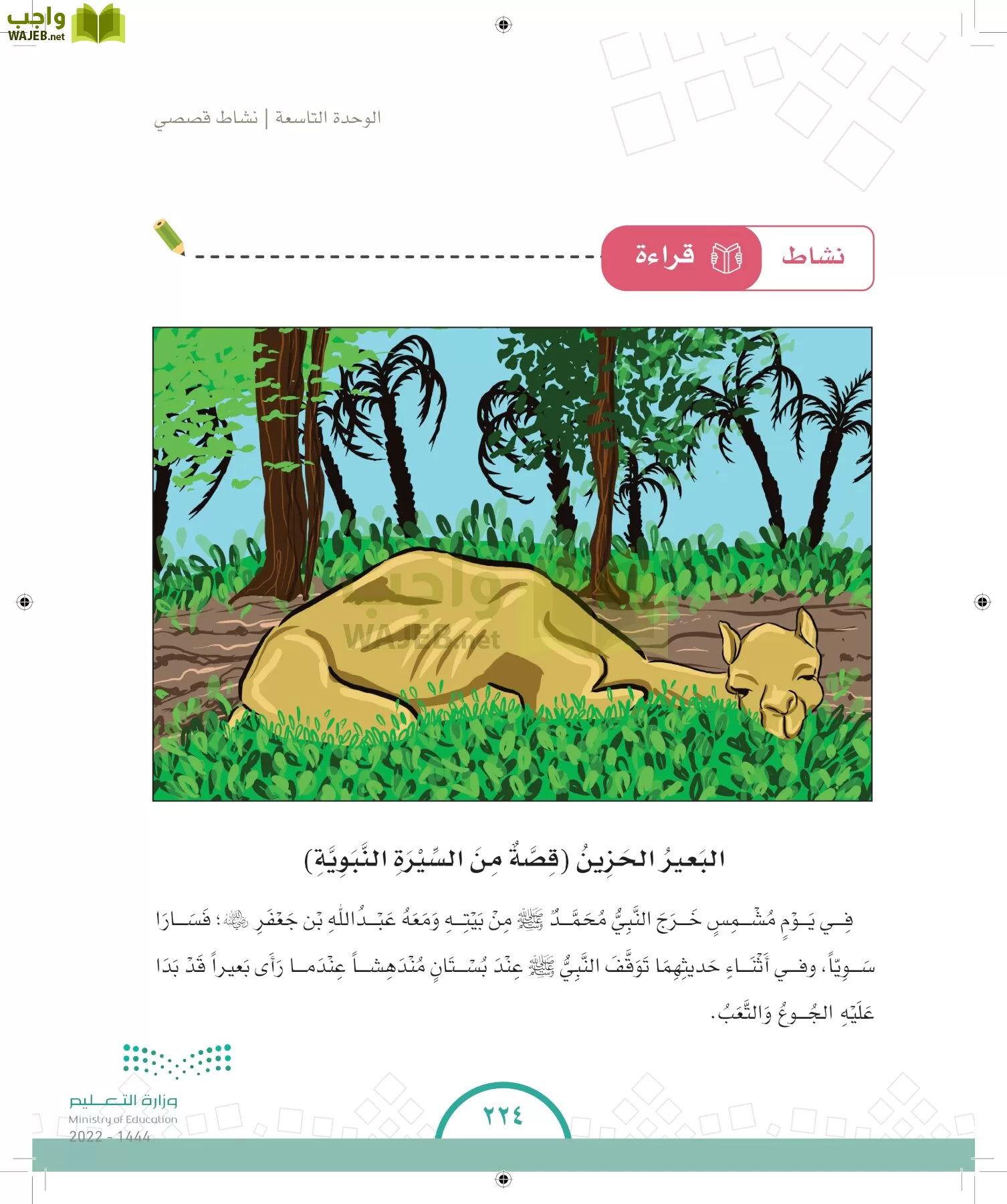 الدراسات الاجتماعية والمواطنة page-216