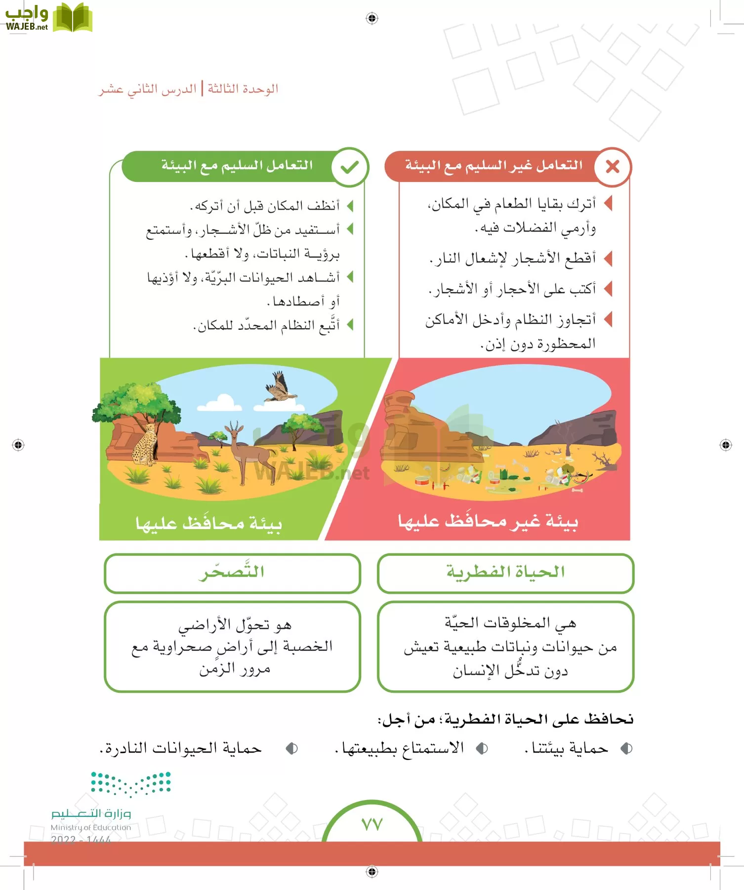 الدراسات الاجتماعية والمواطنة page-74