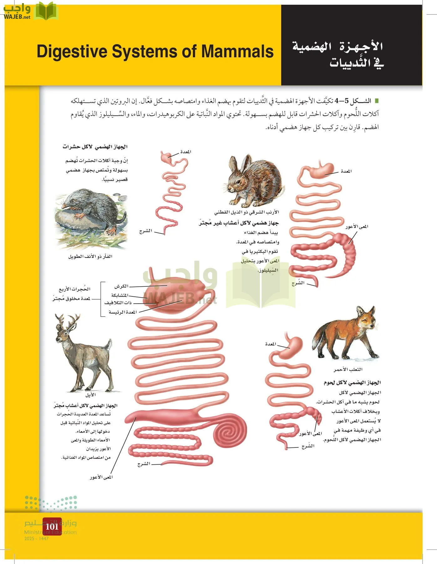 الأحياء 1-2 الفصل الأول page-100
