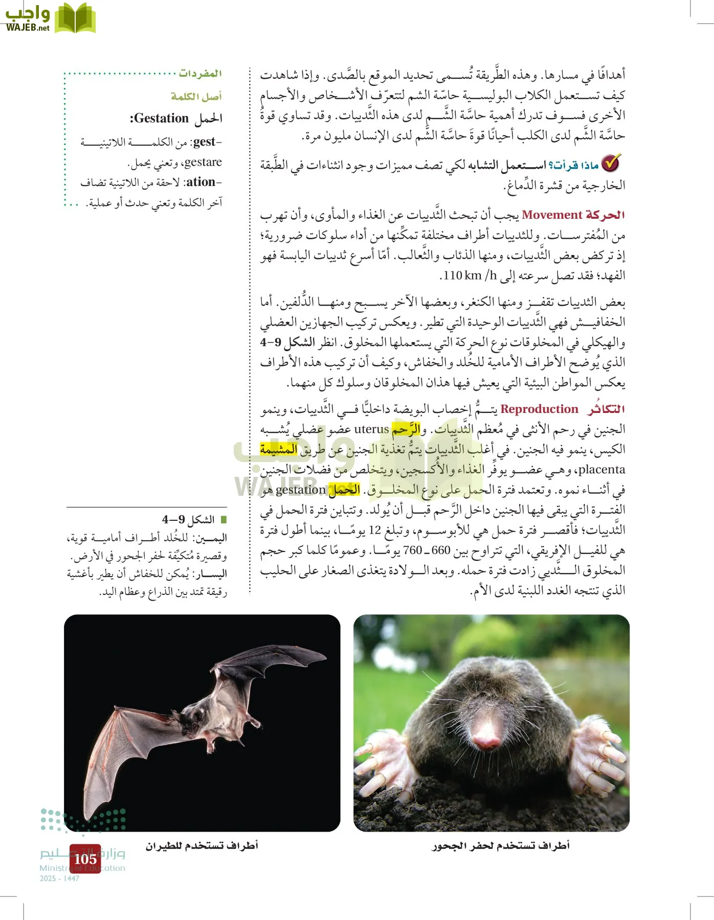 الأحياء 1-2 الفصل الأول page-104