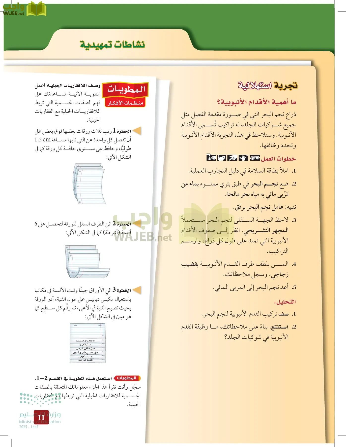 الأحياء 1-2 الفصل الأول page-10