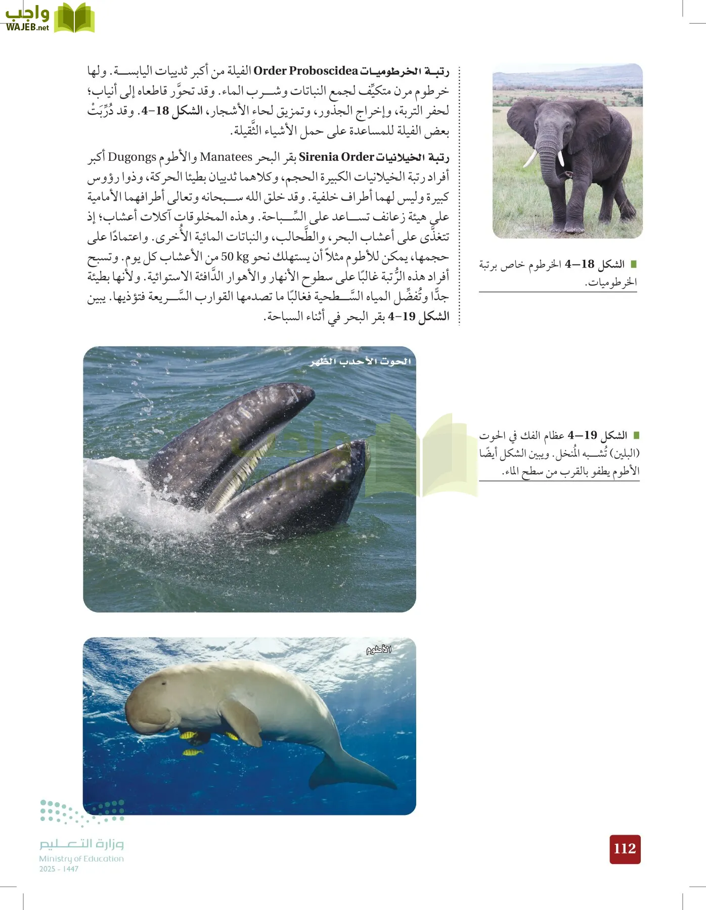 الأحياء 1-2 الفصل الأول page-111