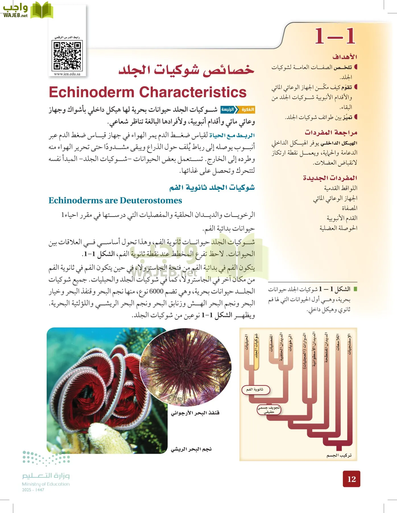الأحياء 1-2 الفصل الأول page-11