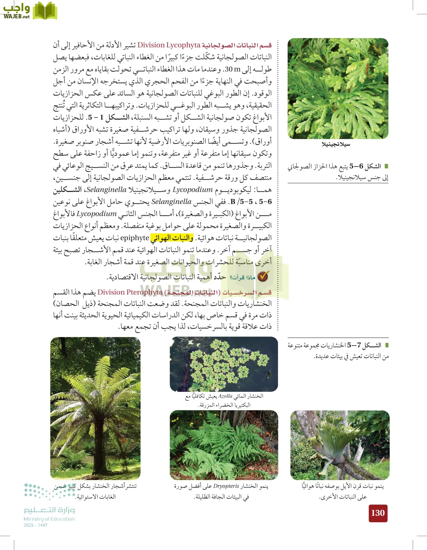 الأحياء 1-2 الفصل الأول page-129