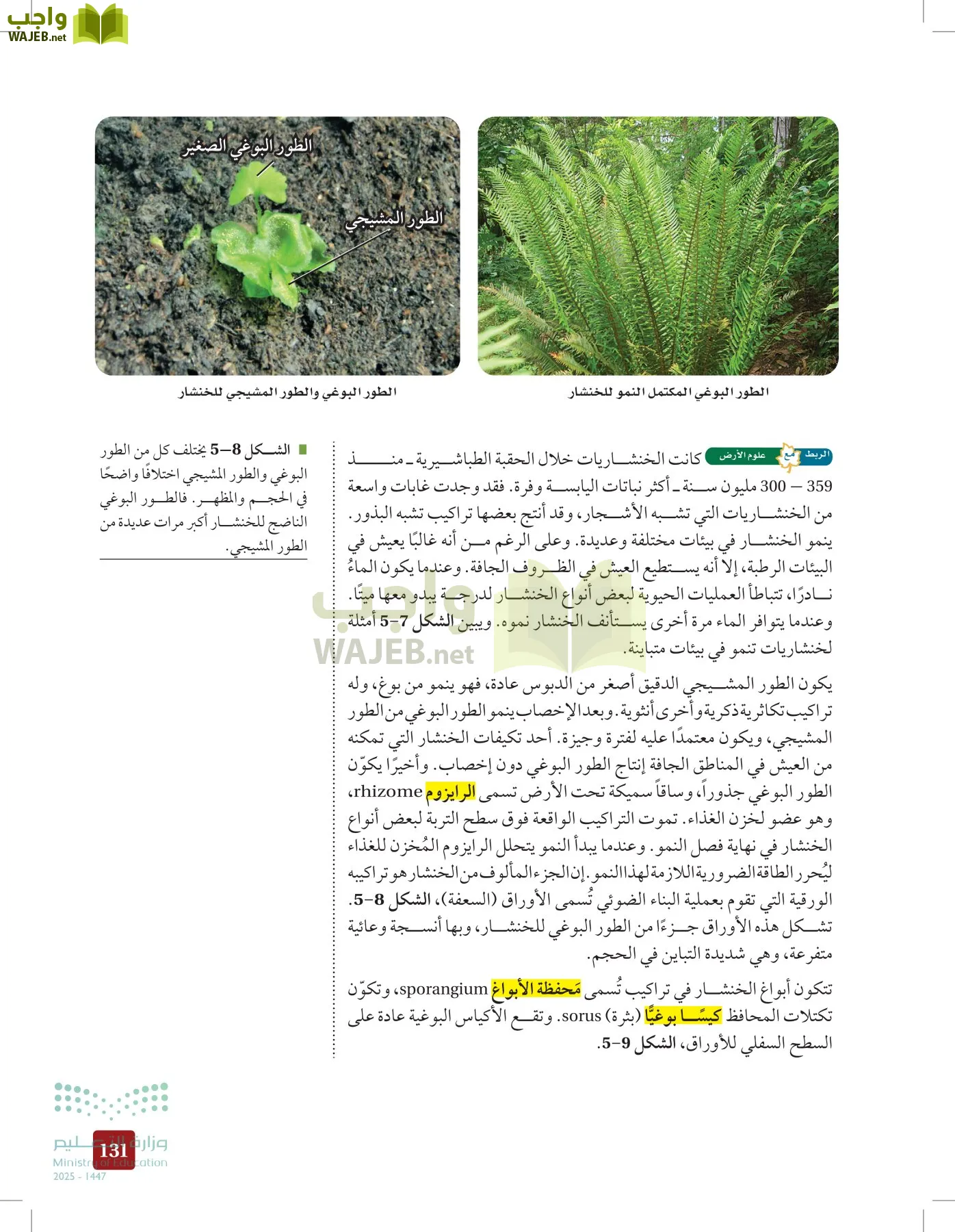 الأحياء 1-2 الفصل الأول page-130