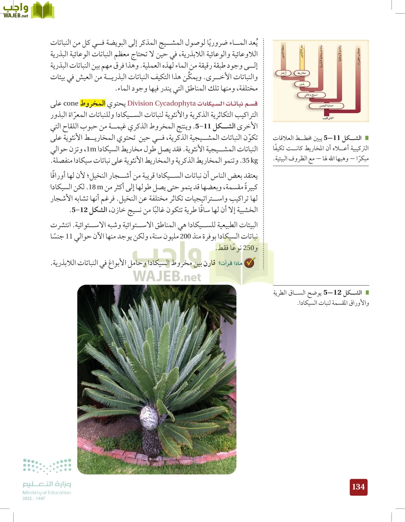 الأحياء 1-2 الفصل الأول page-133