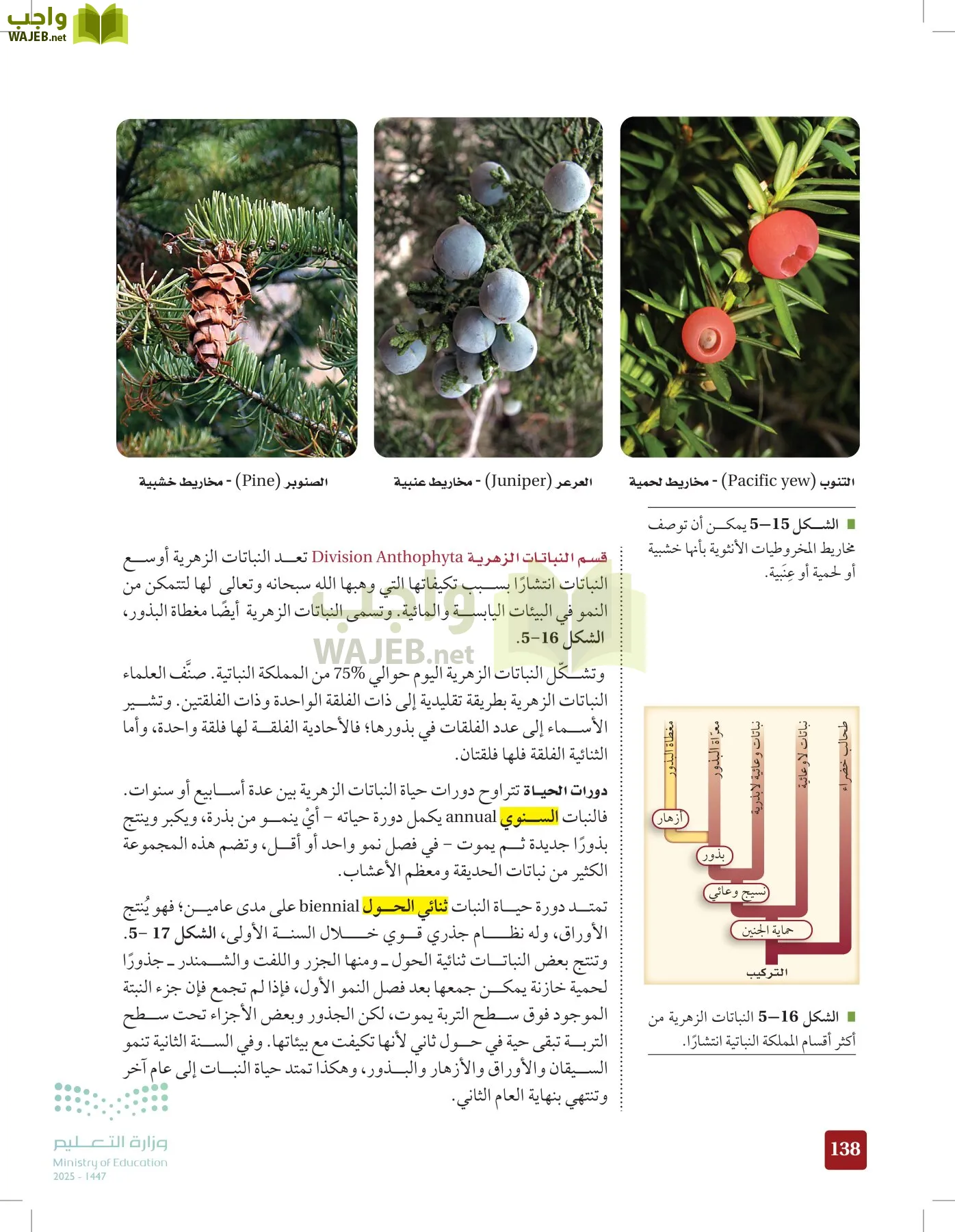 الأحياء 1-2 الفصل الأول page-137