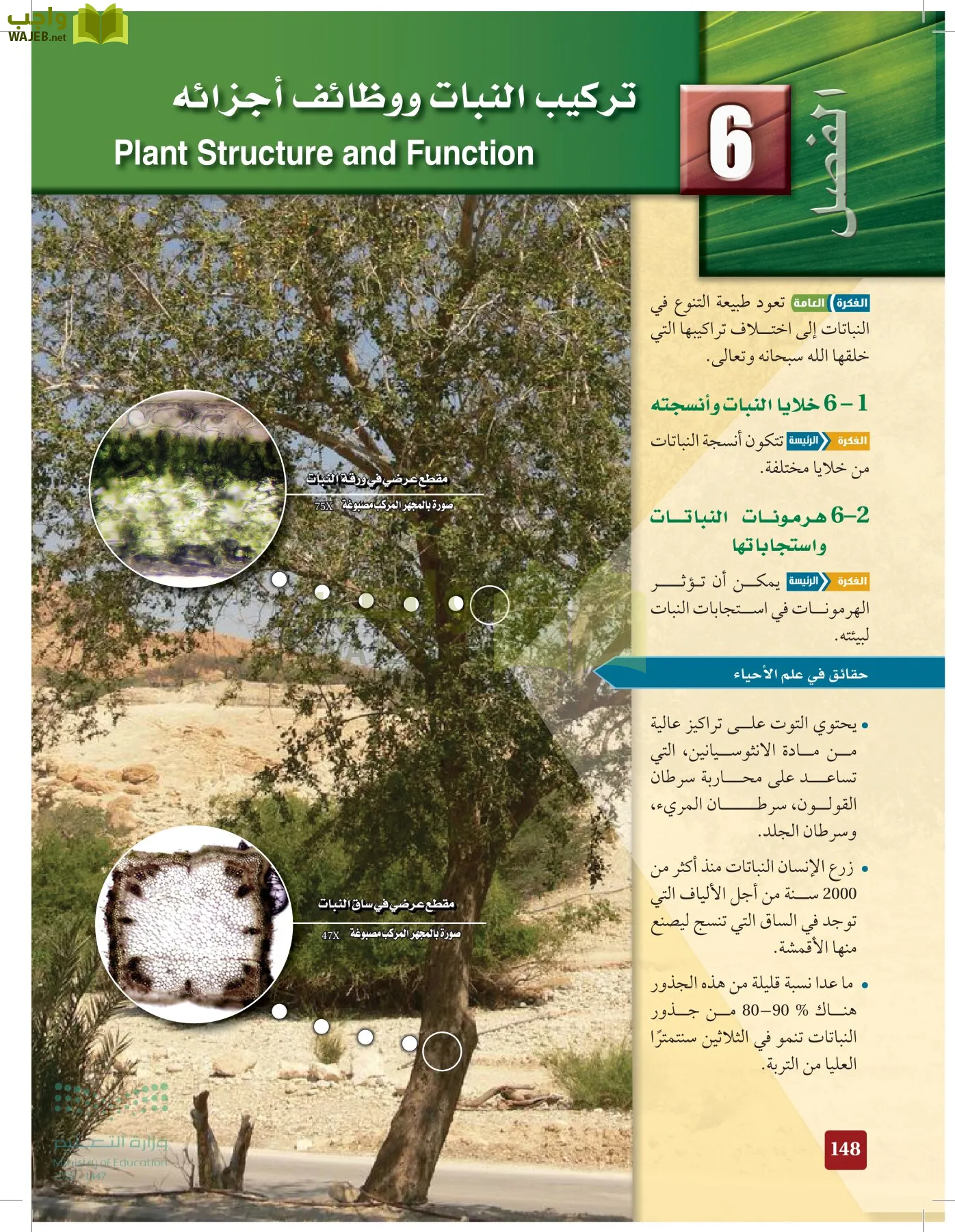 الأحياء 1-2 الفصل الأول page-147