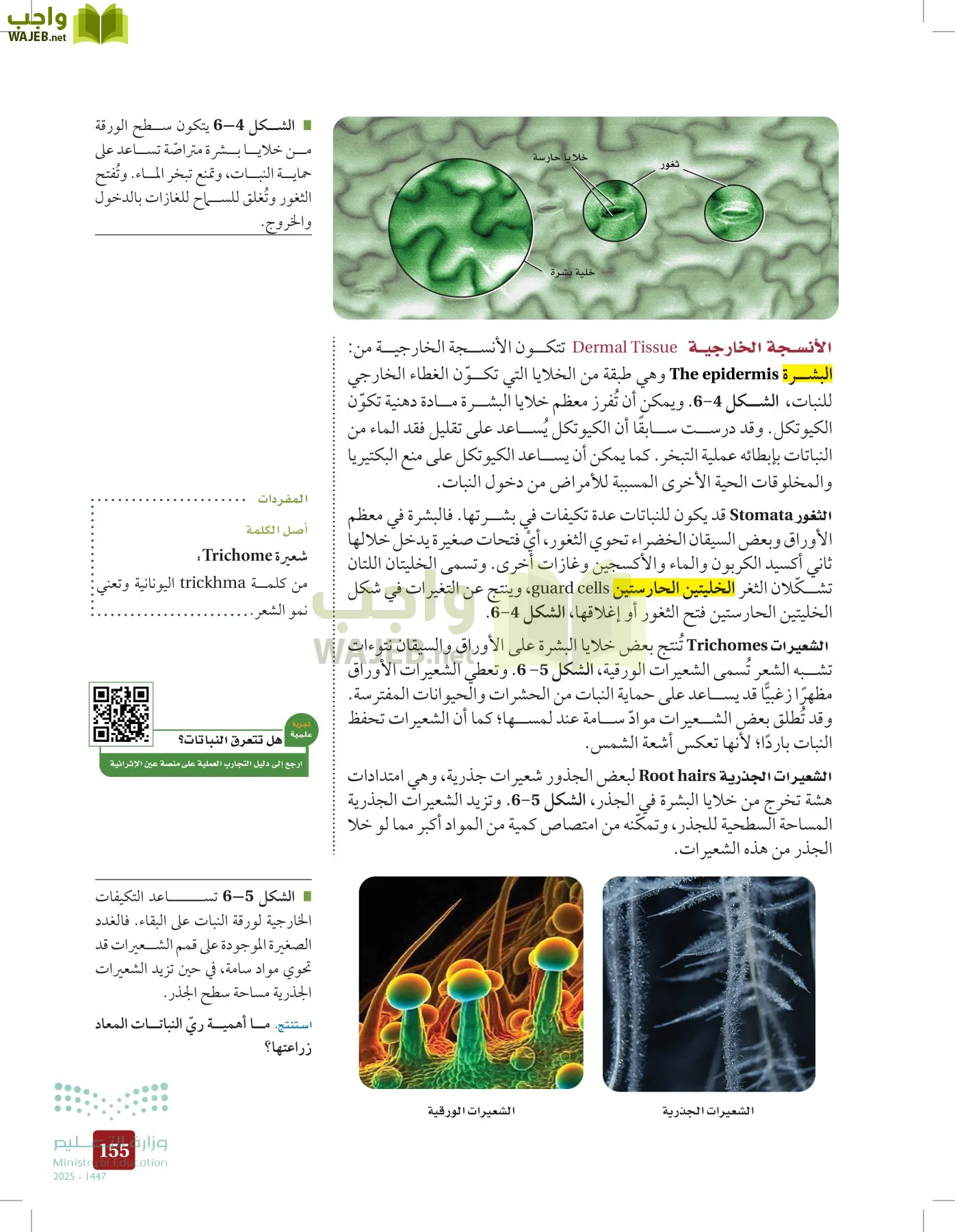 الأحياء 1-2 الفصل الأول page-154