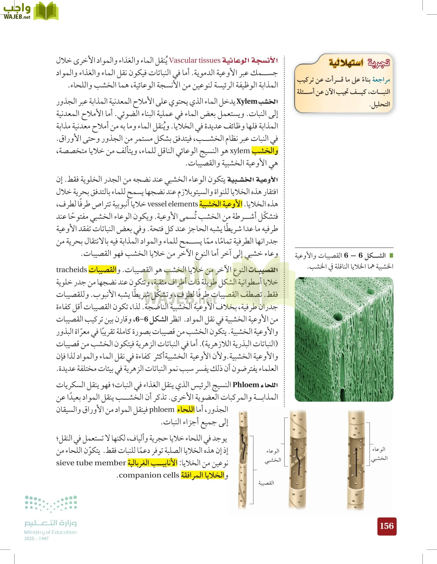 الأحياء 1-2 الفصل الأول page-155