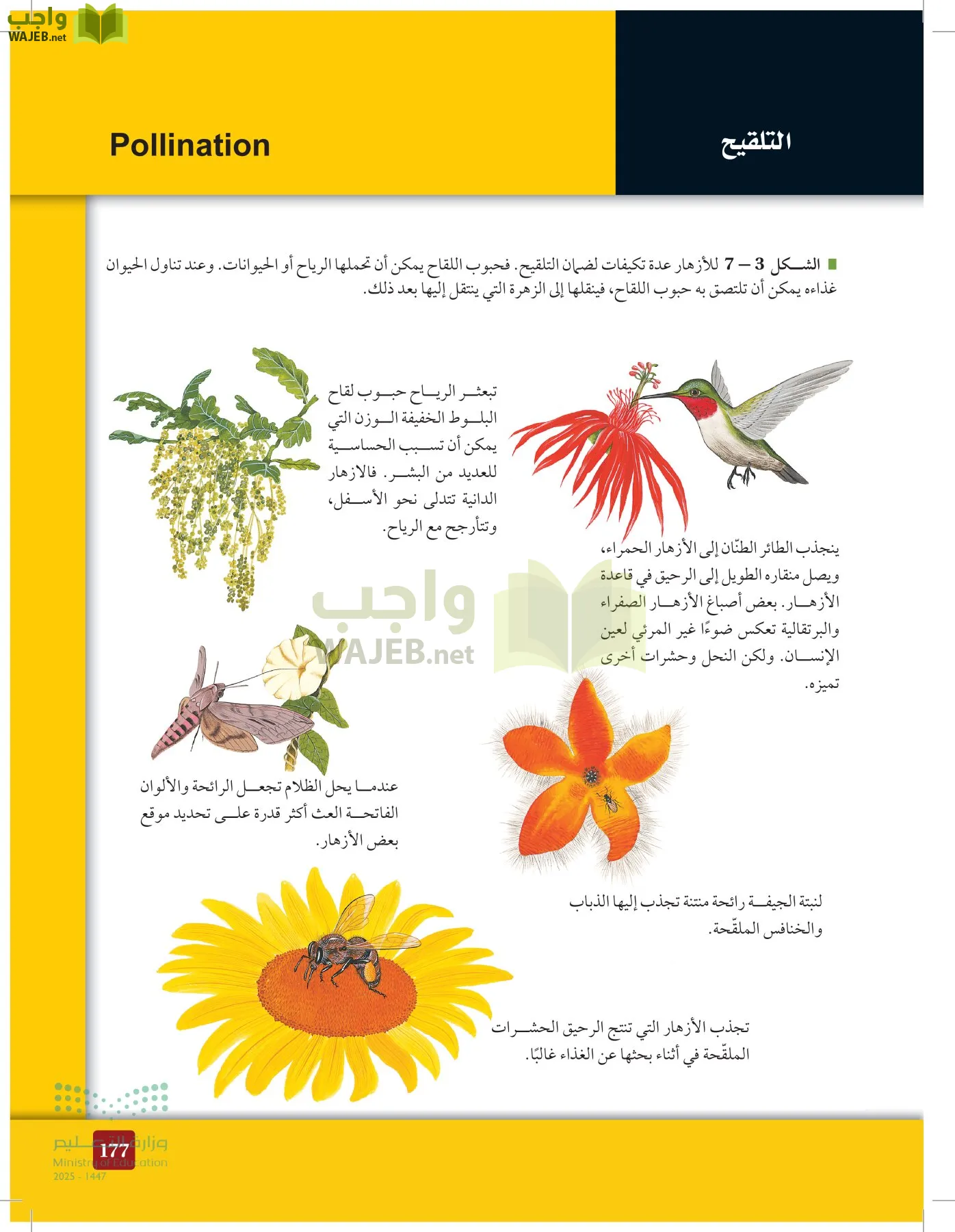 الأحياء 1-2 الفصل الأول page-176