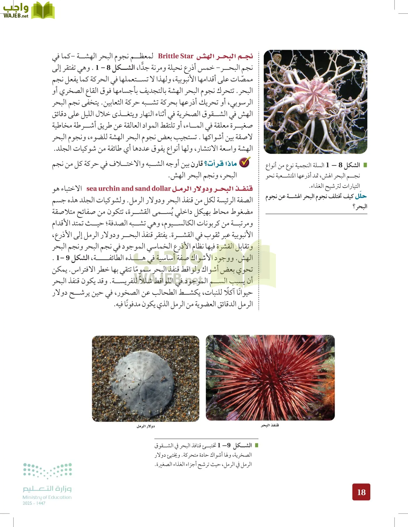 الأحياء 1-2 الفصل الأول page-17