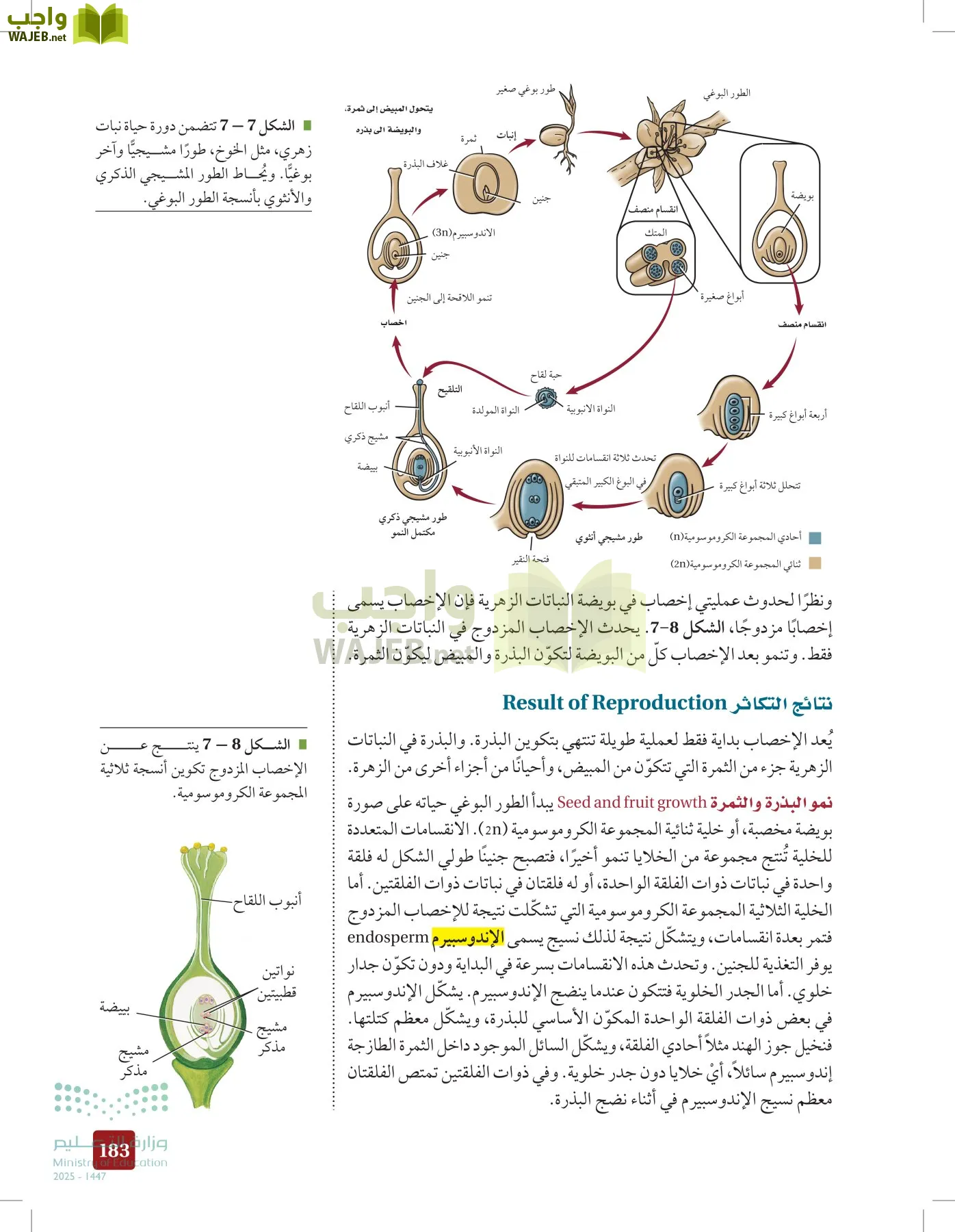 الأحياء 1-2 الفصل الأول page-182