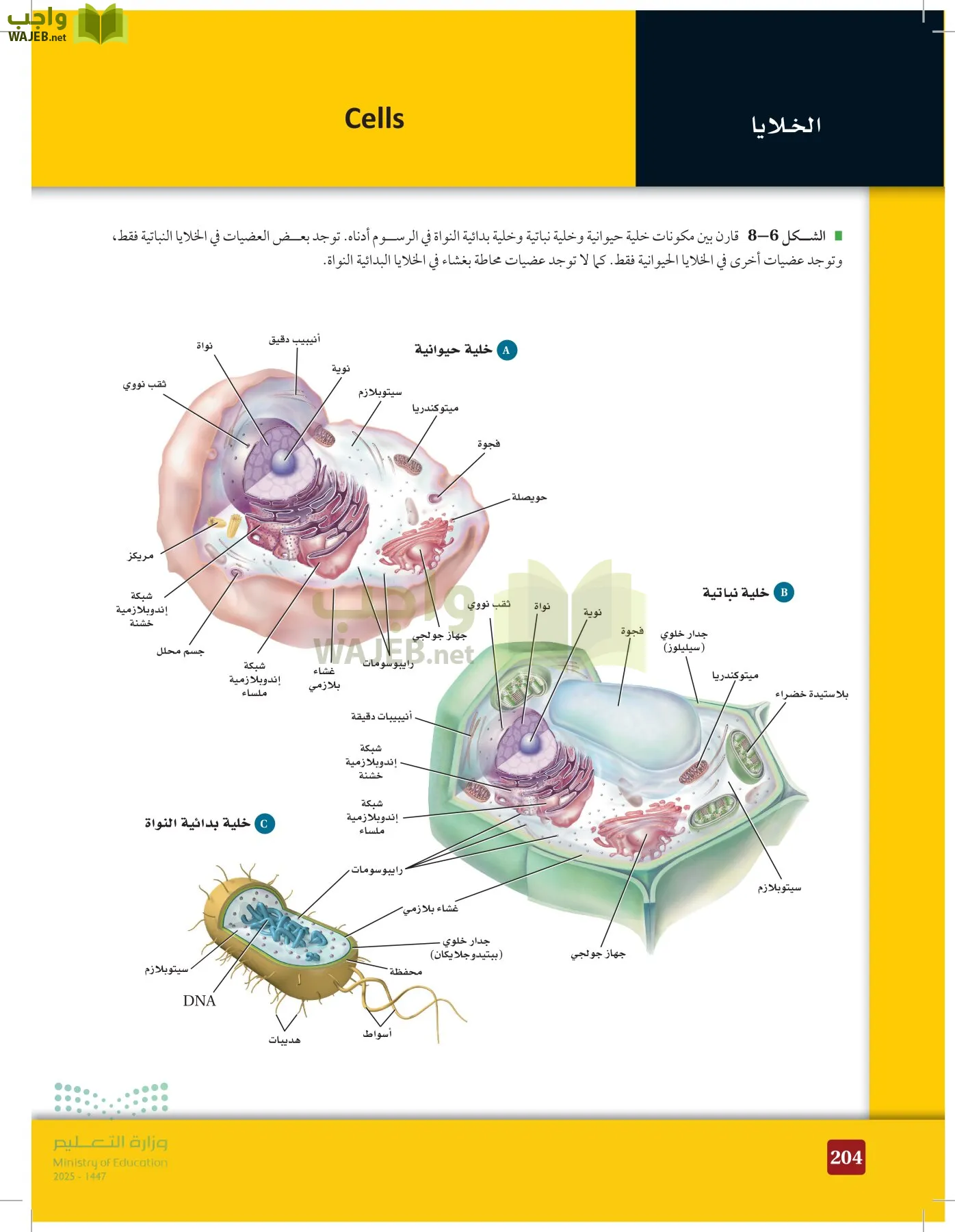 الأحياء 1-2 الفصل الأول page-203
