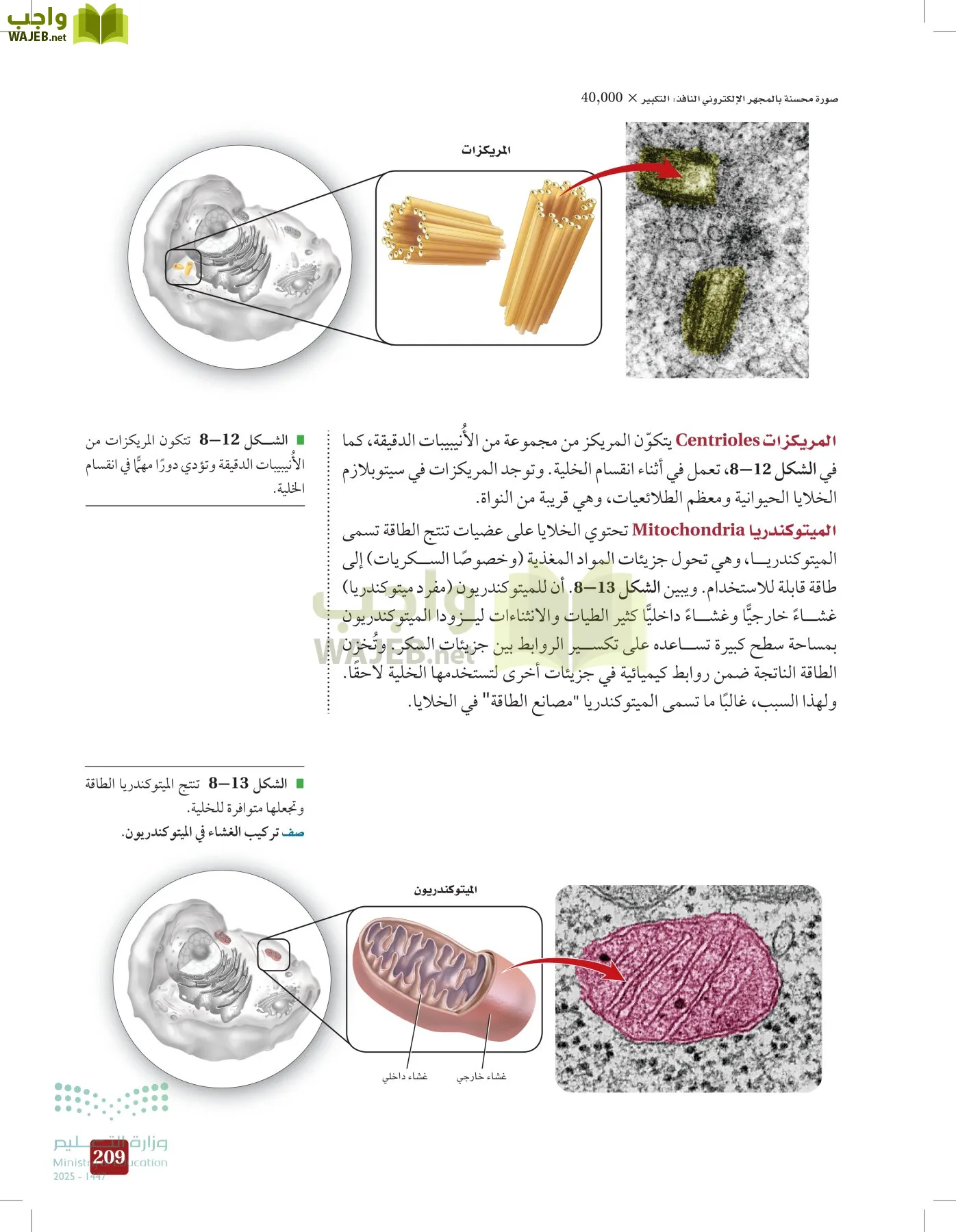 الأحياء 1-2 الفصل الأول page-208