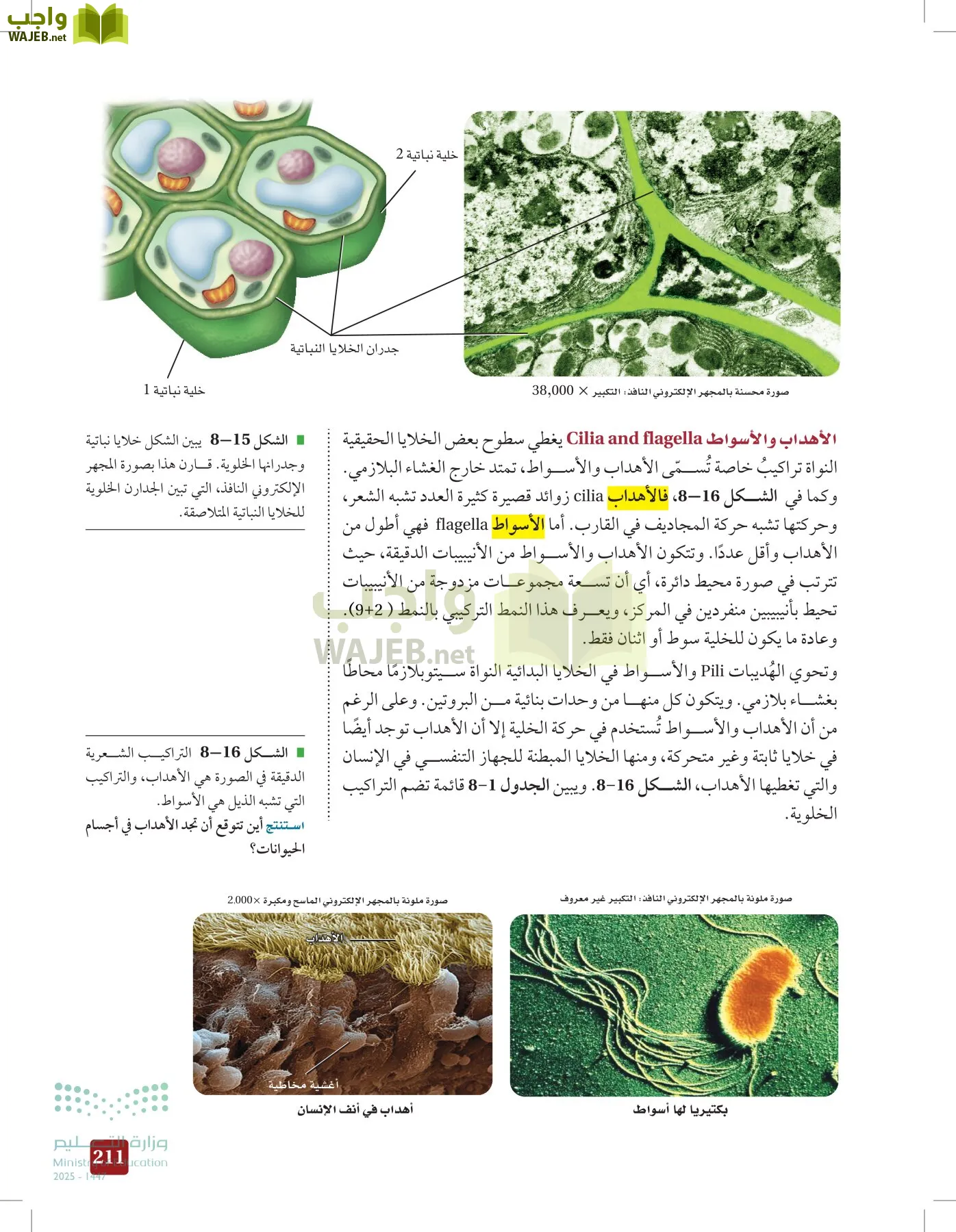 الأحياء 1-2 الفصل الأول page-210